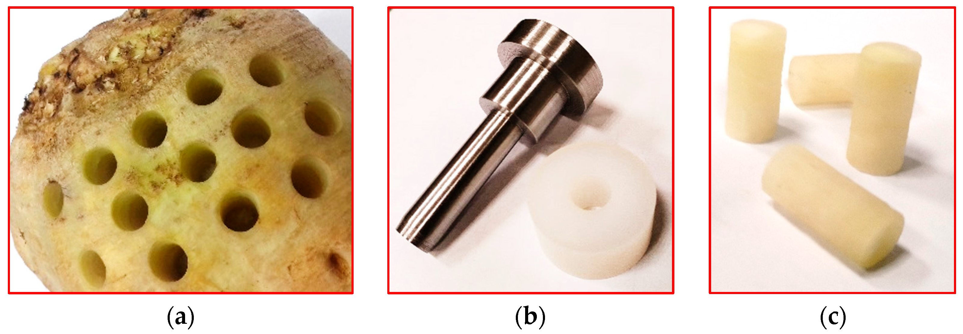 Sensors 25 03725 g001 Sensors 25 03725 g001