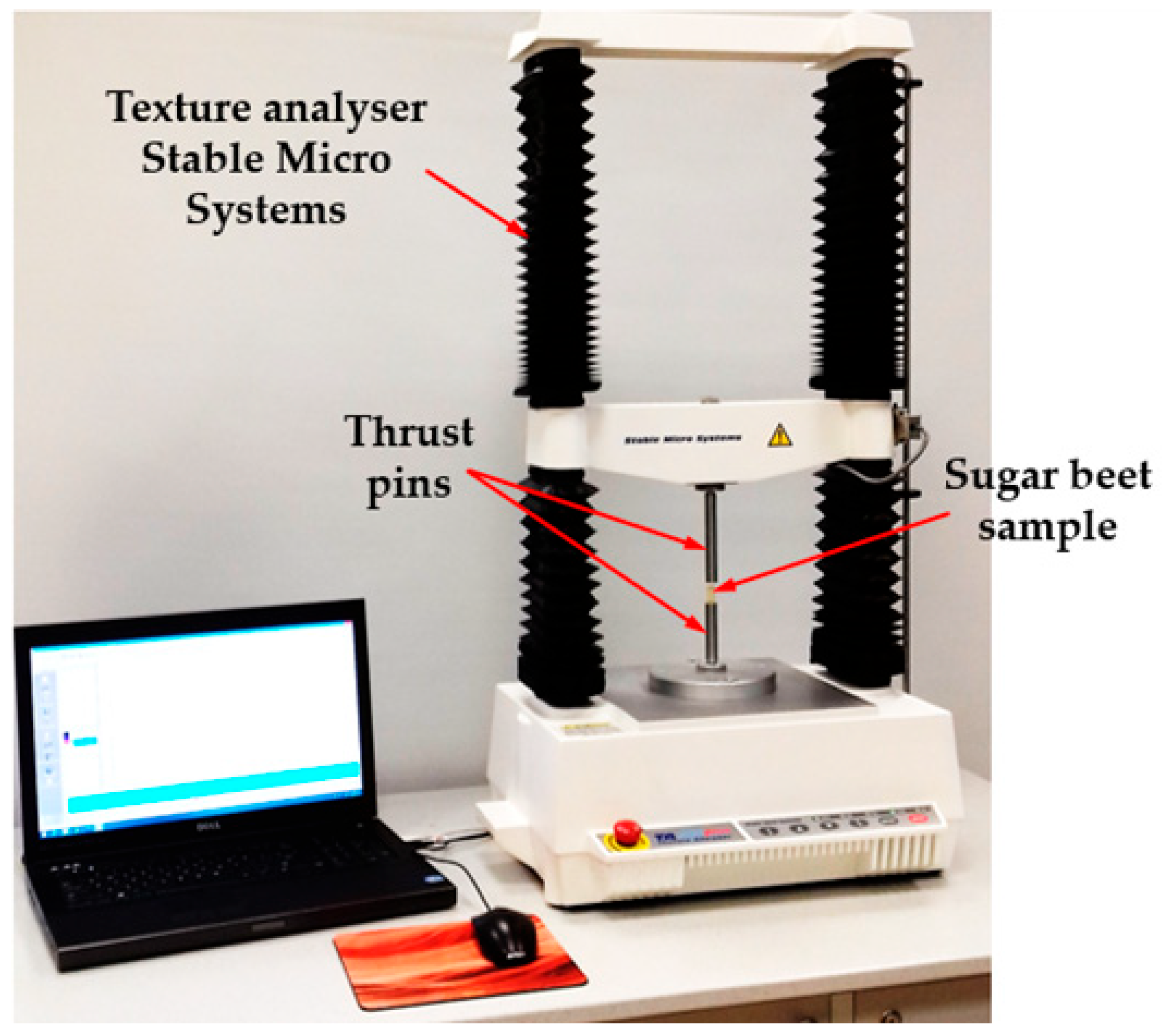 Sensors 25 03725 g002 Sensors 25 03725 g002