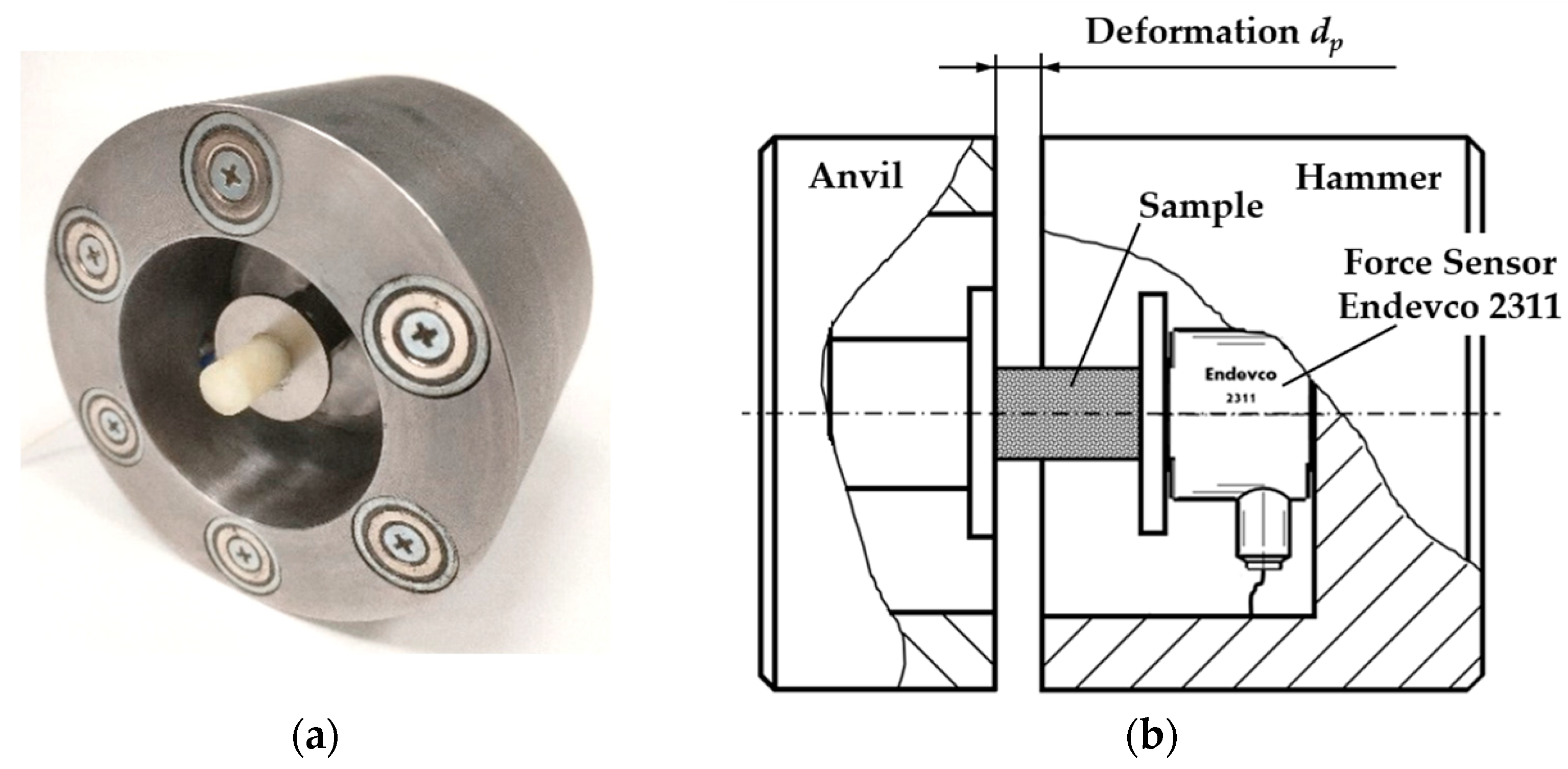 Sensors 25 03725 g004 Sensors 25 03725 g004