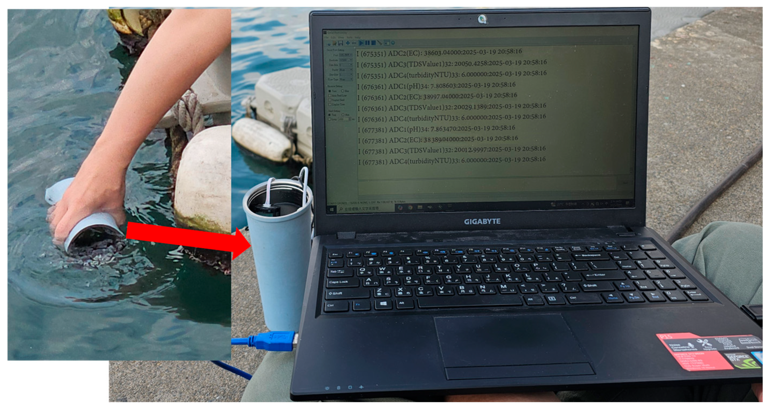 Sensors 25 03747 g001