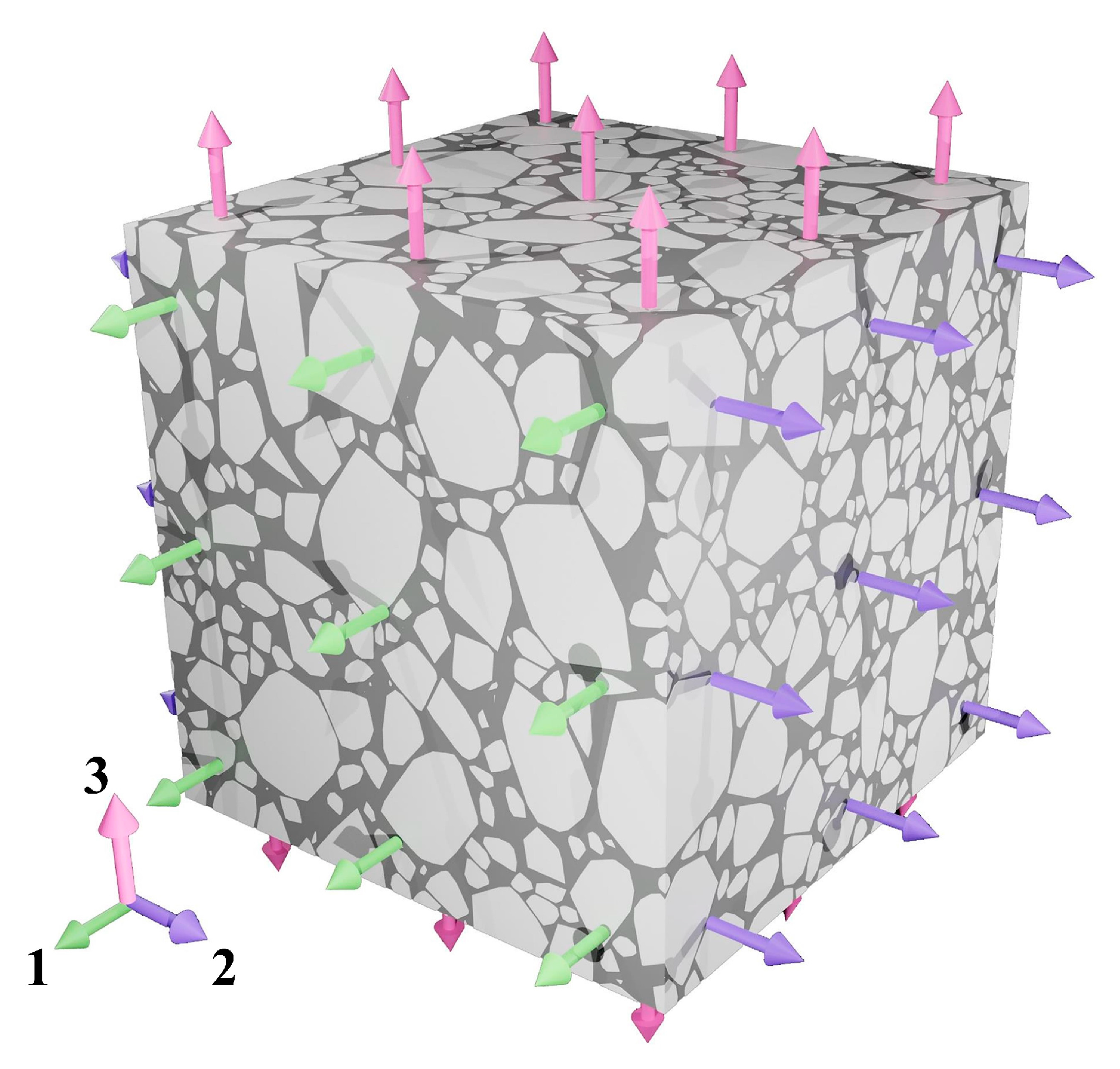 Sensors 25 03754 g006