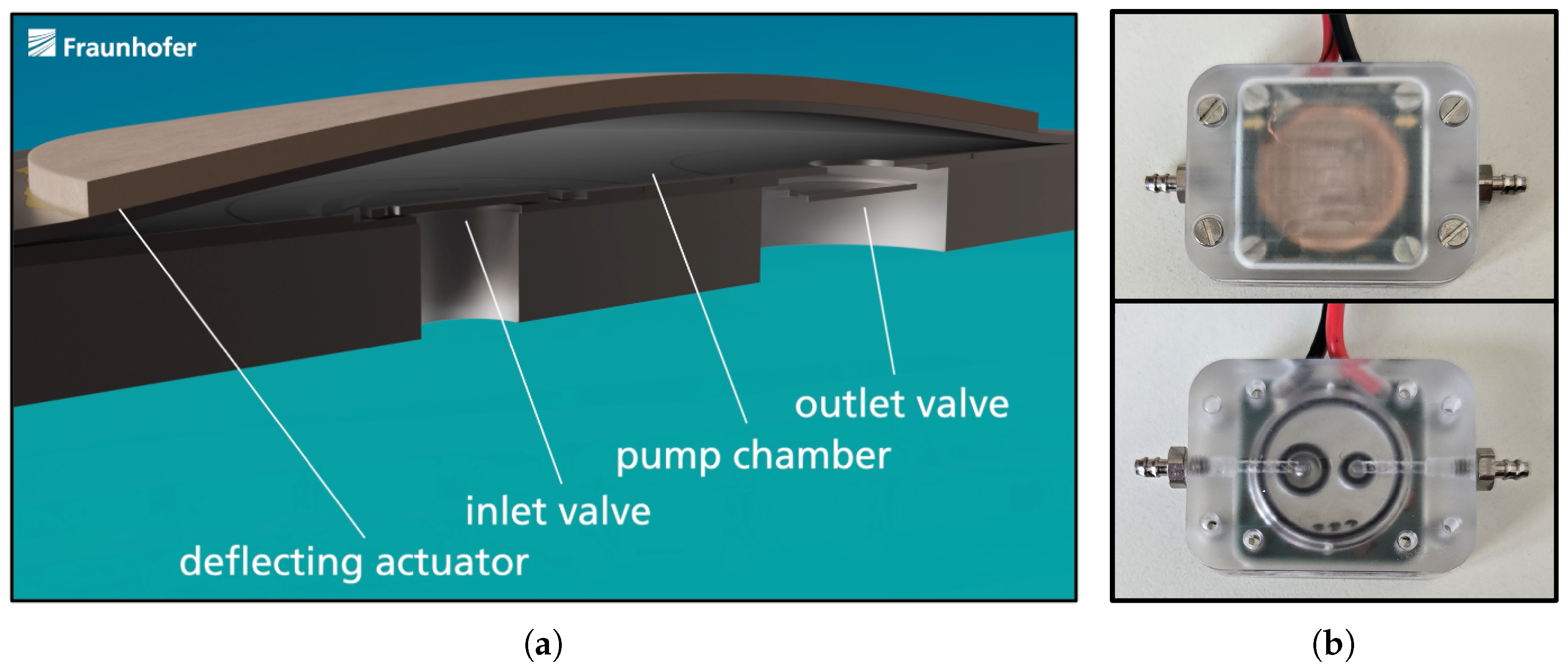Sensors 25 03784 g001