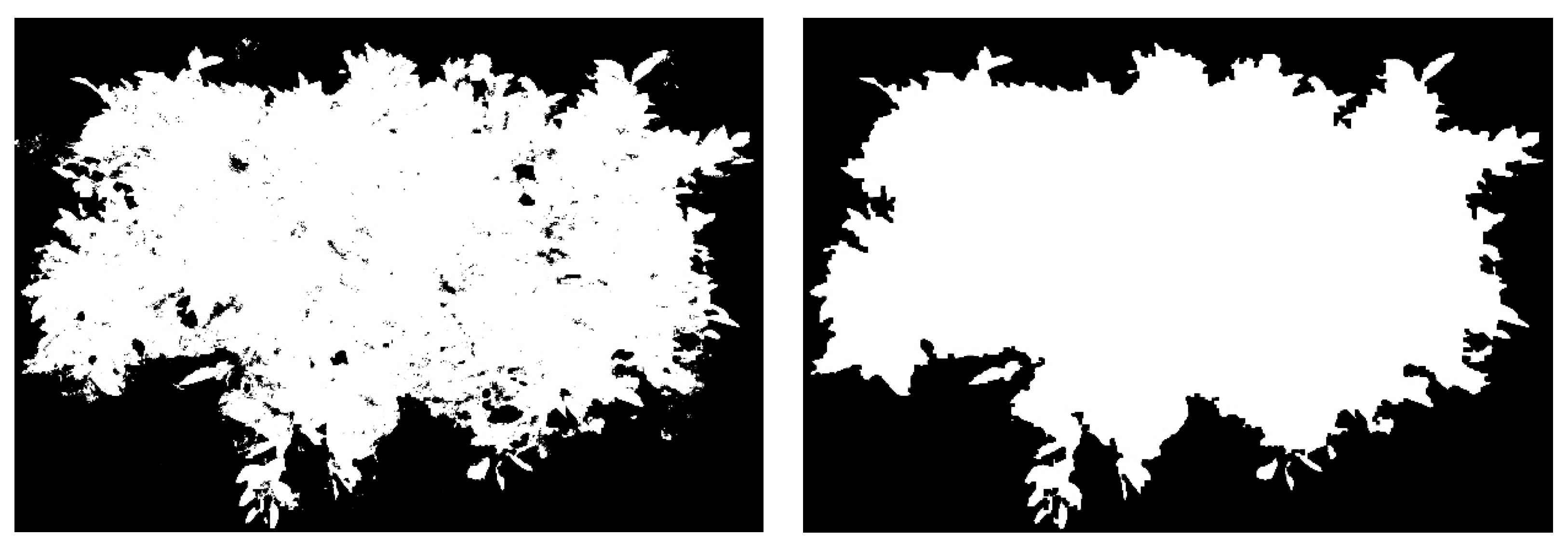 Sensors 25 03799 g004