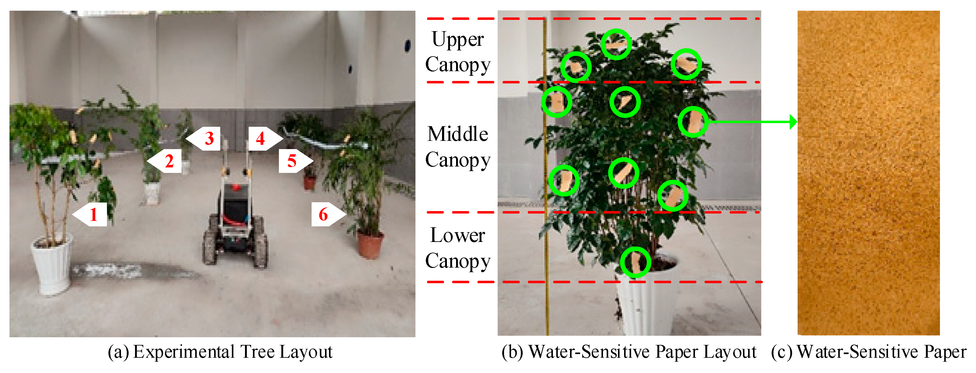 Sensors 25 03799 g012