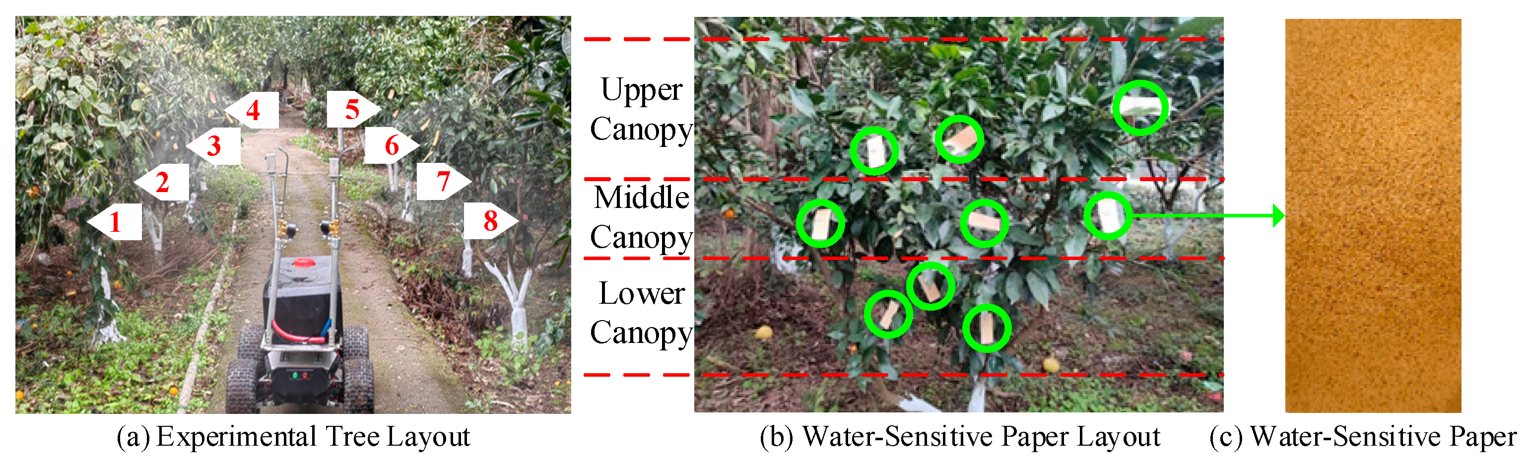 Sensors 25 03799 g013