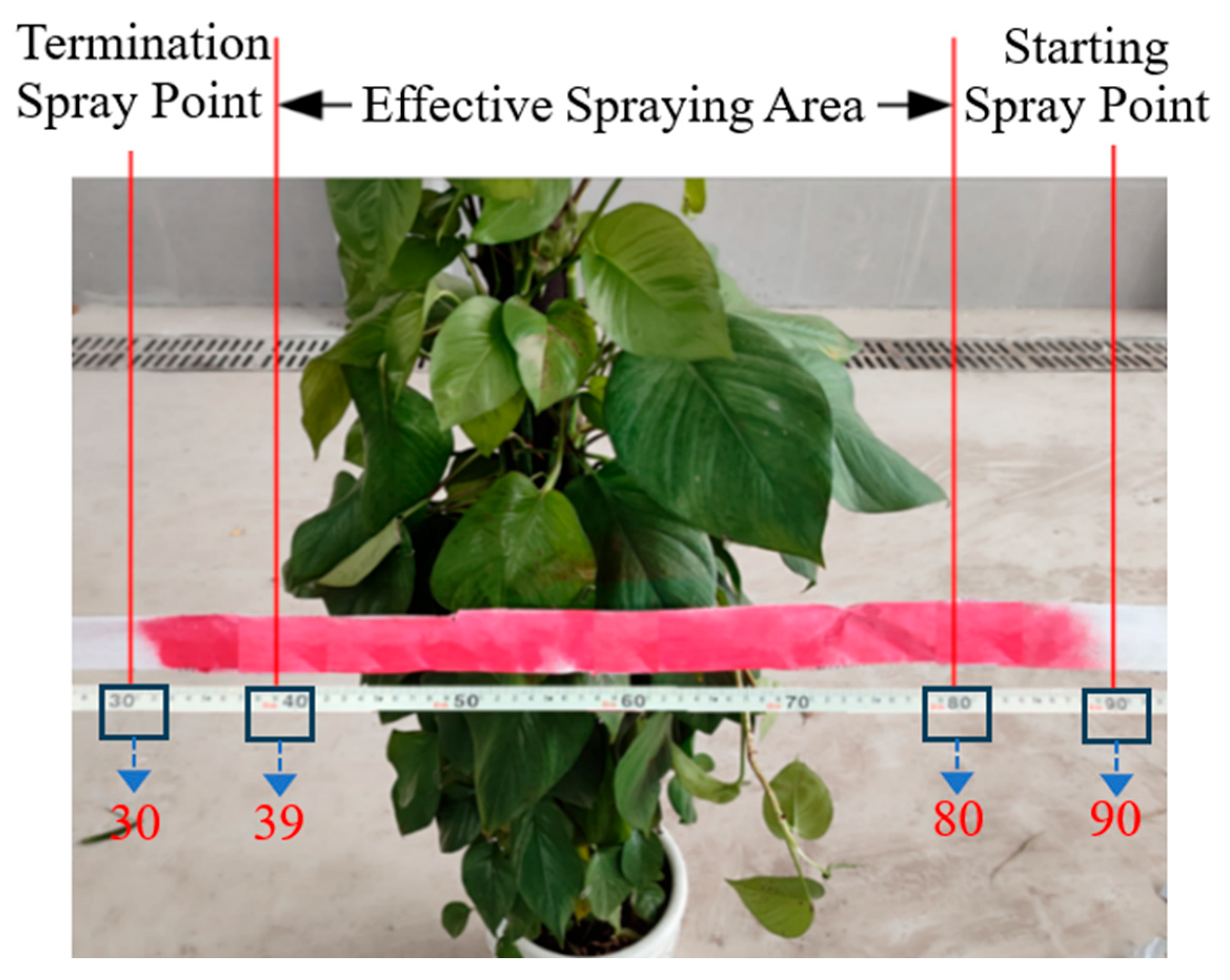 Sensors 25 03799 g021