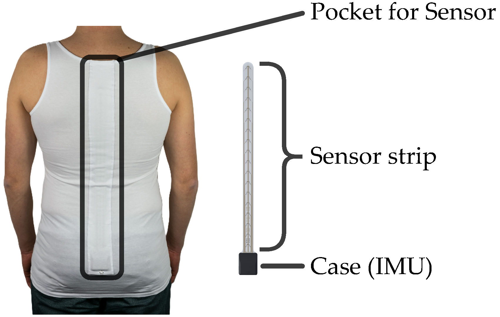 Sensors 25 03806 g003