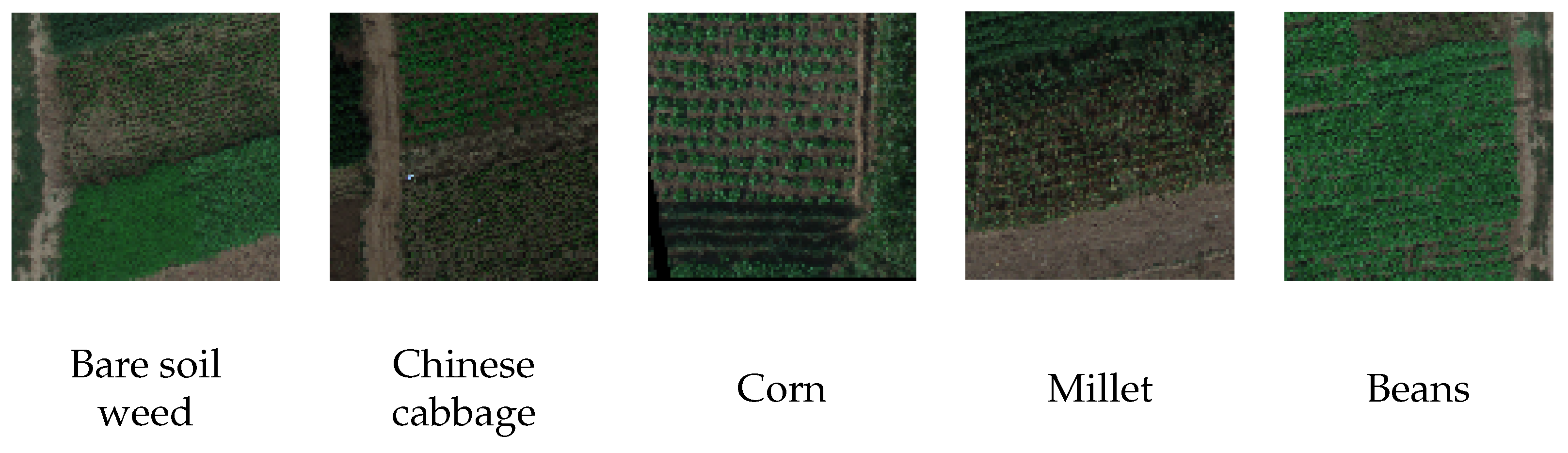 Sensors 25 03817 g002