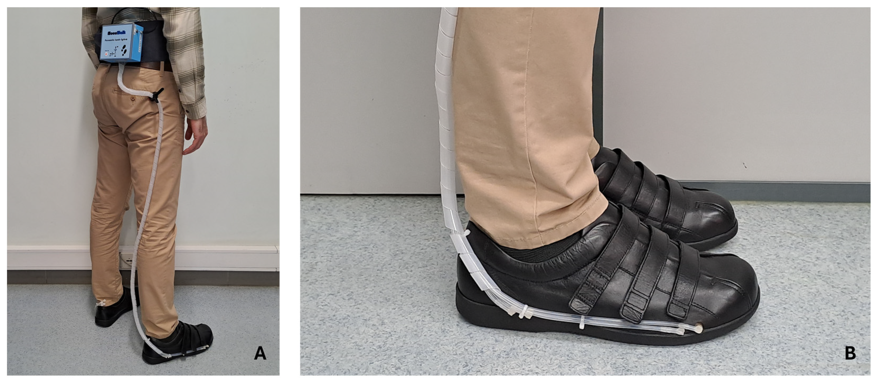 Sensors 25 03820 g008