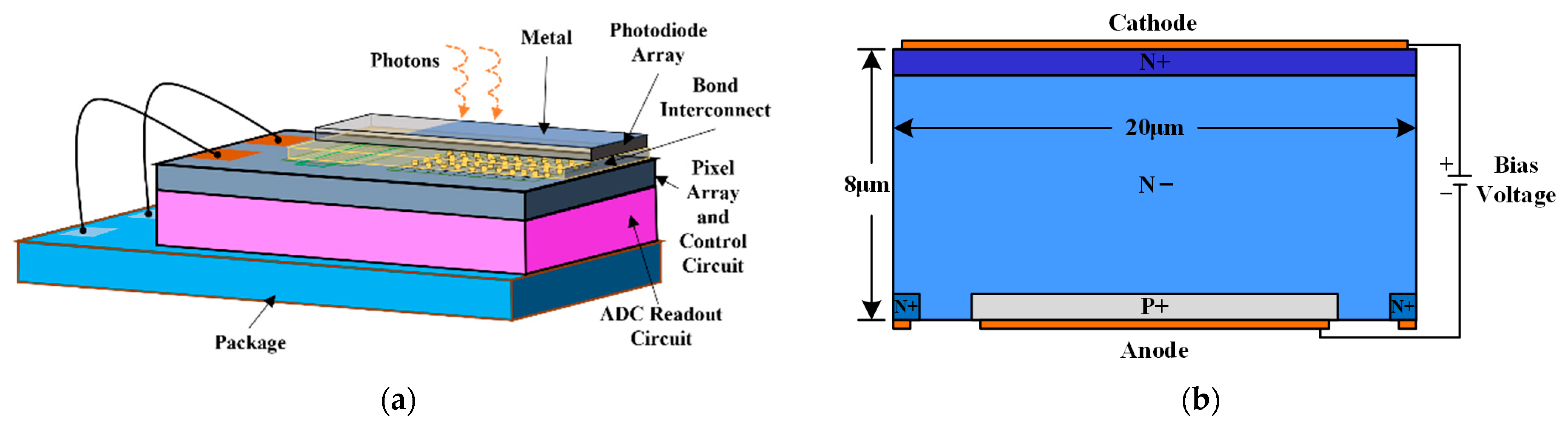 Sensors 25 03835 g001