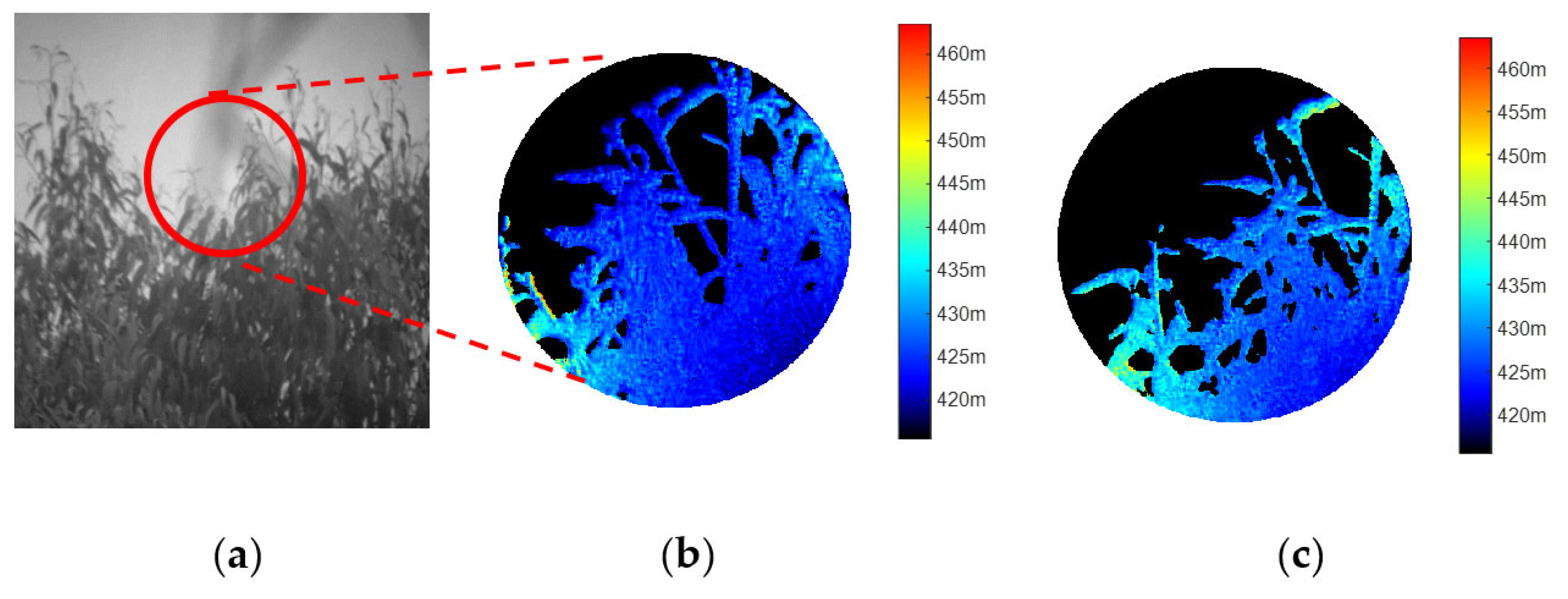 Sensors 25 03852 g006