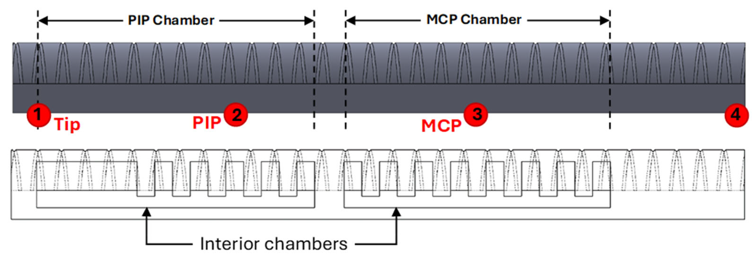 Sensors 25 03858 g007
