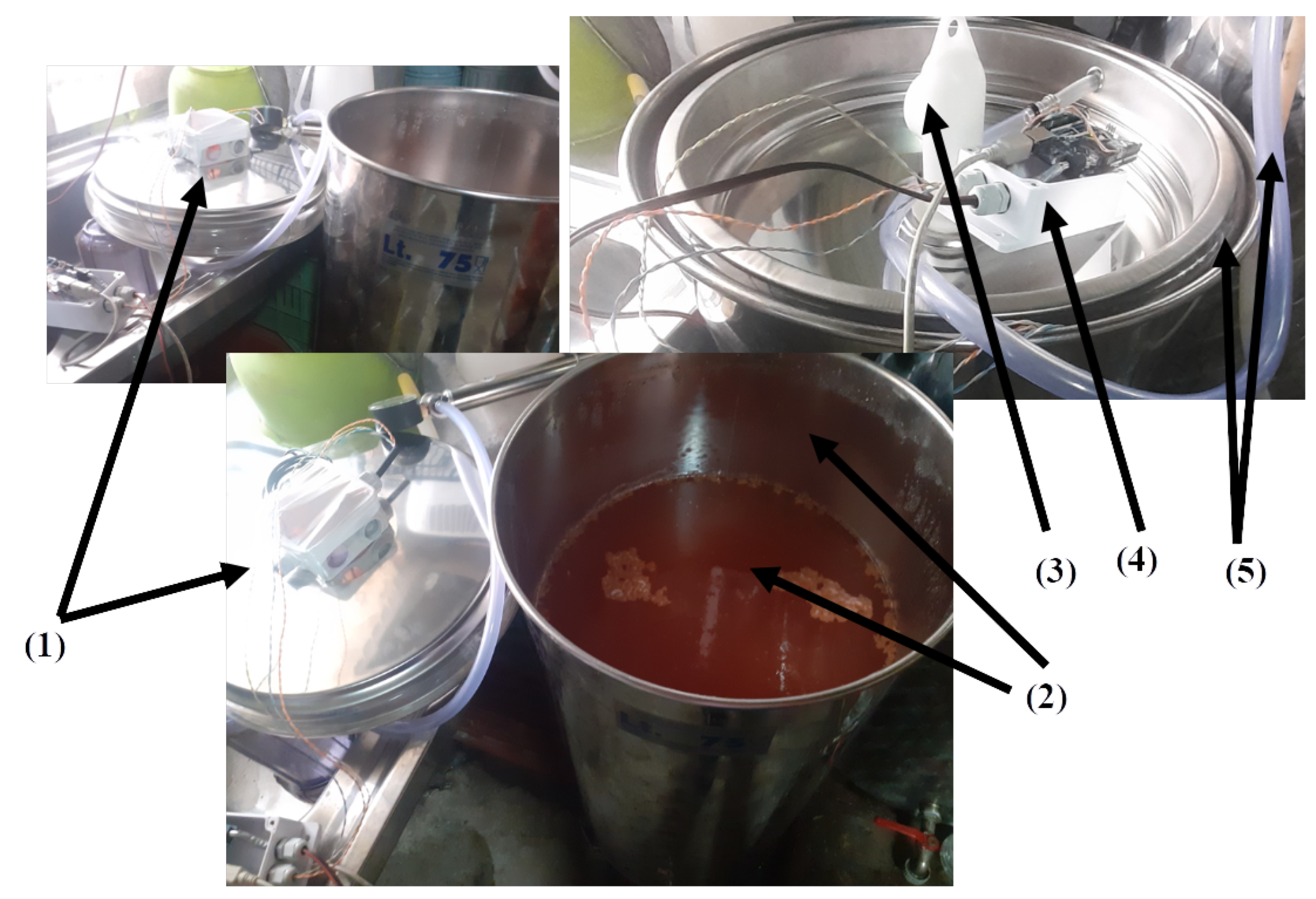 Sensors 25 03877 g008