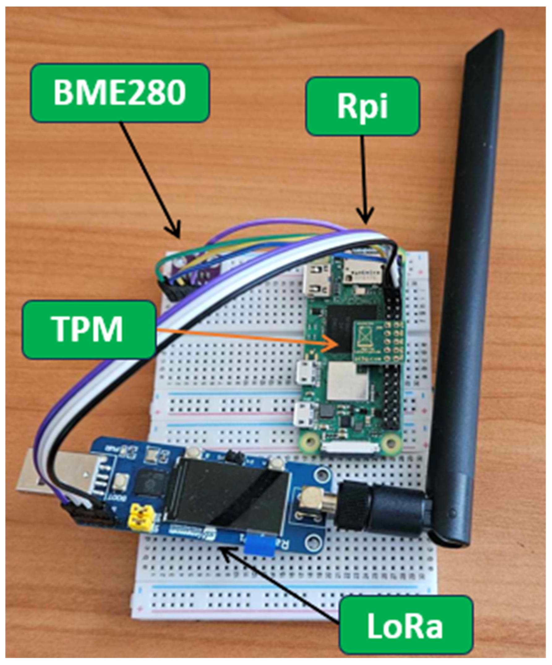 Sensors 25 03881 g005