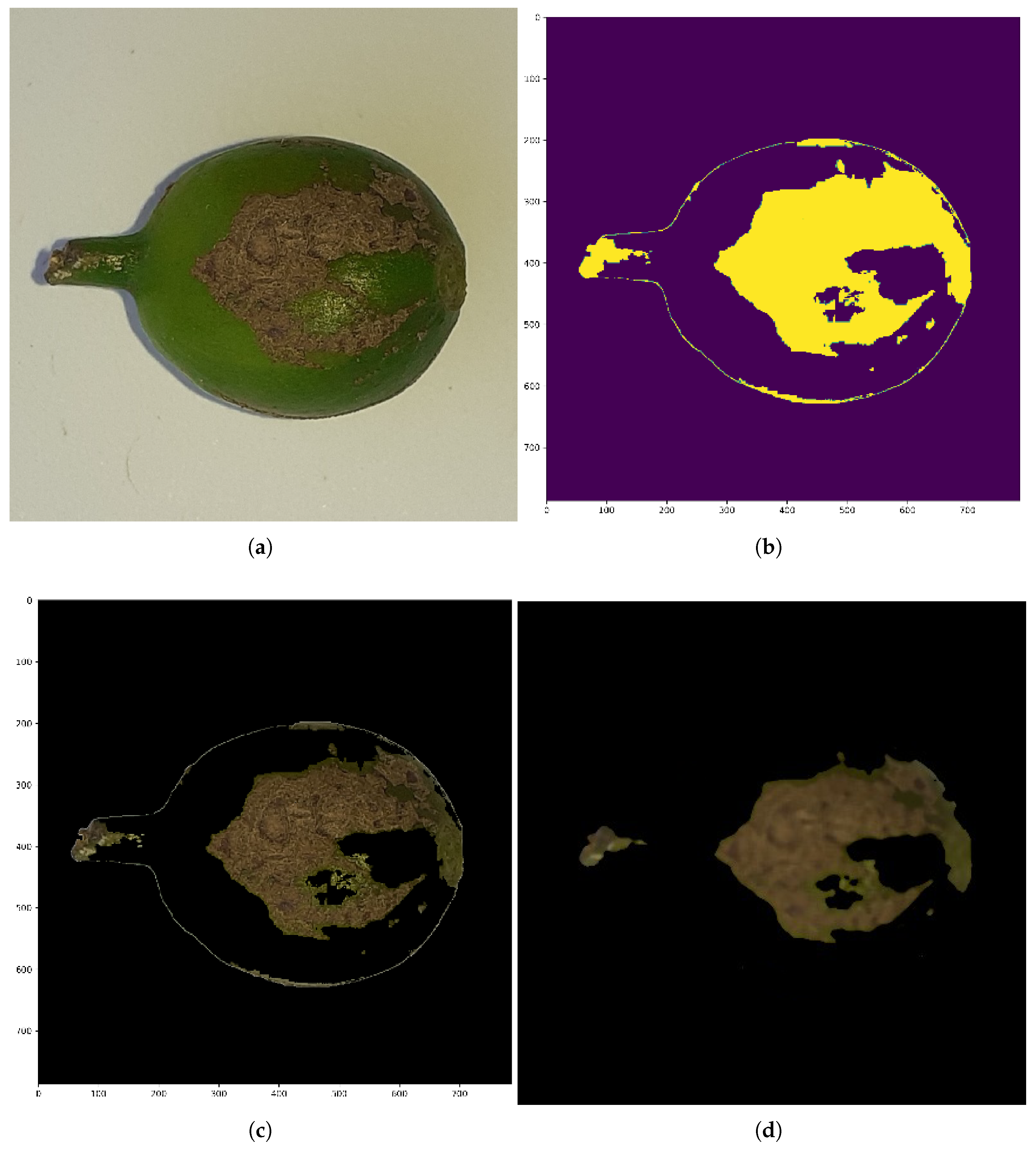 Sensors 25 03926 g004