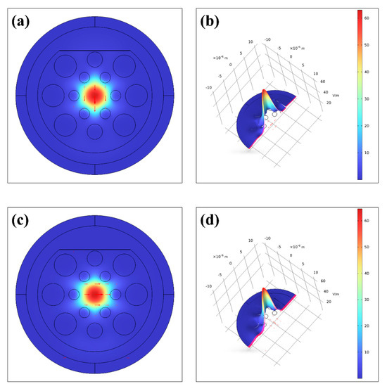 Design of a Photonic Crystal Fiber Optic Magnetic Field