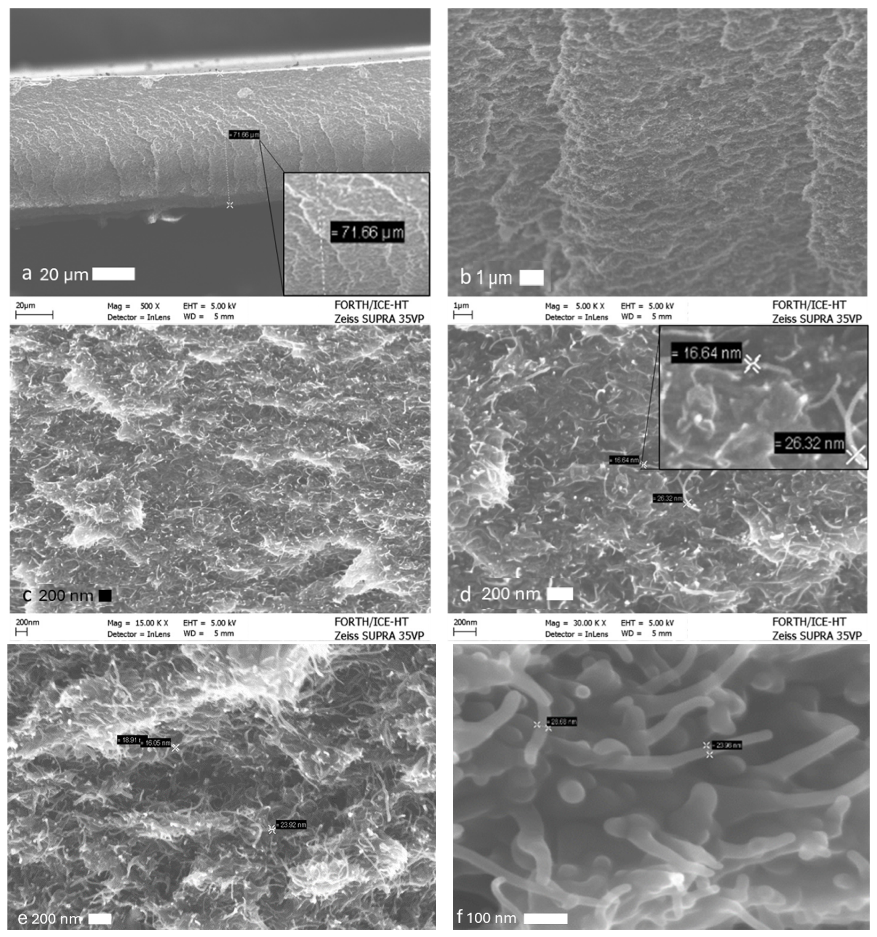 Sensors 25 03943 g002