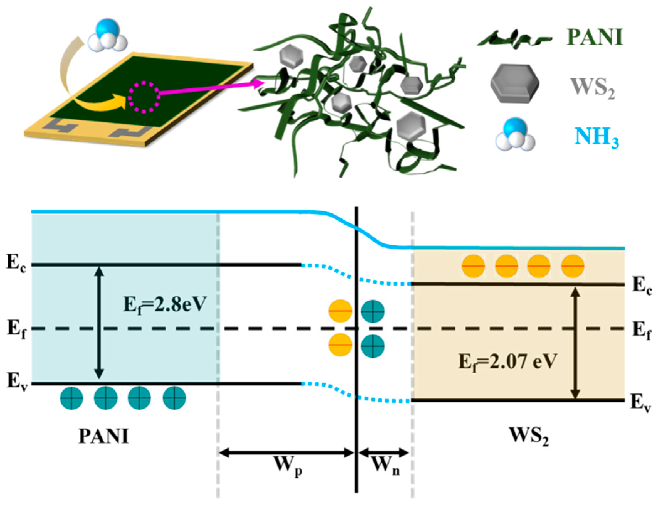 Sensors 25 03948 g010