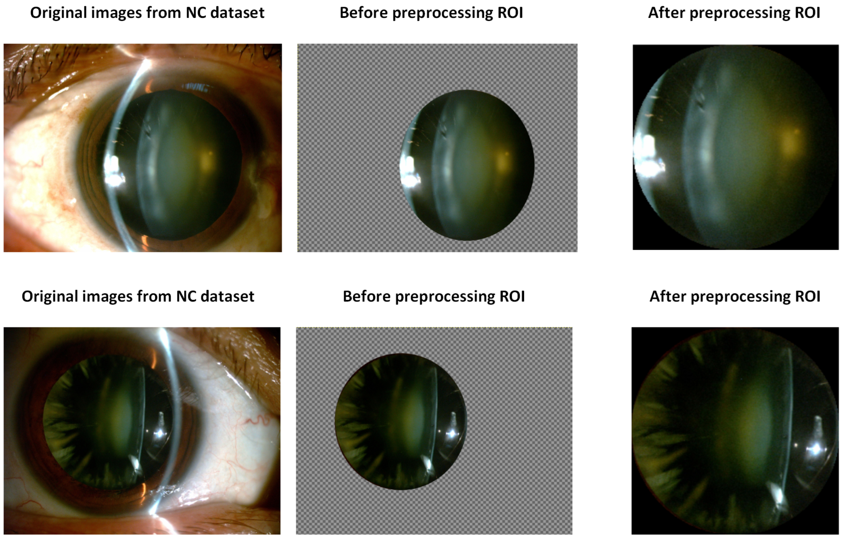 Sensors 25 03954 g002