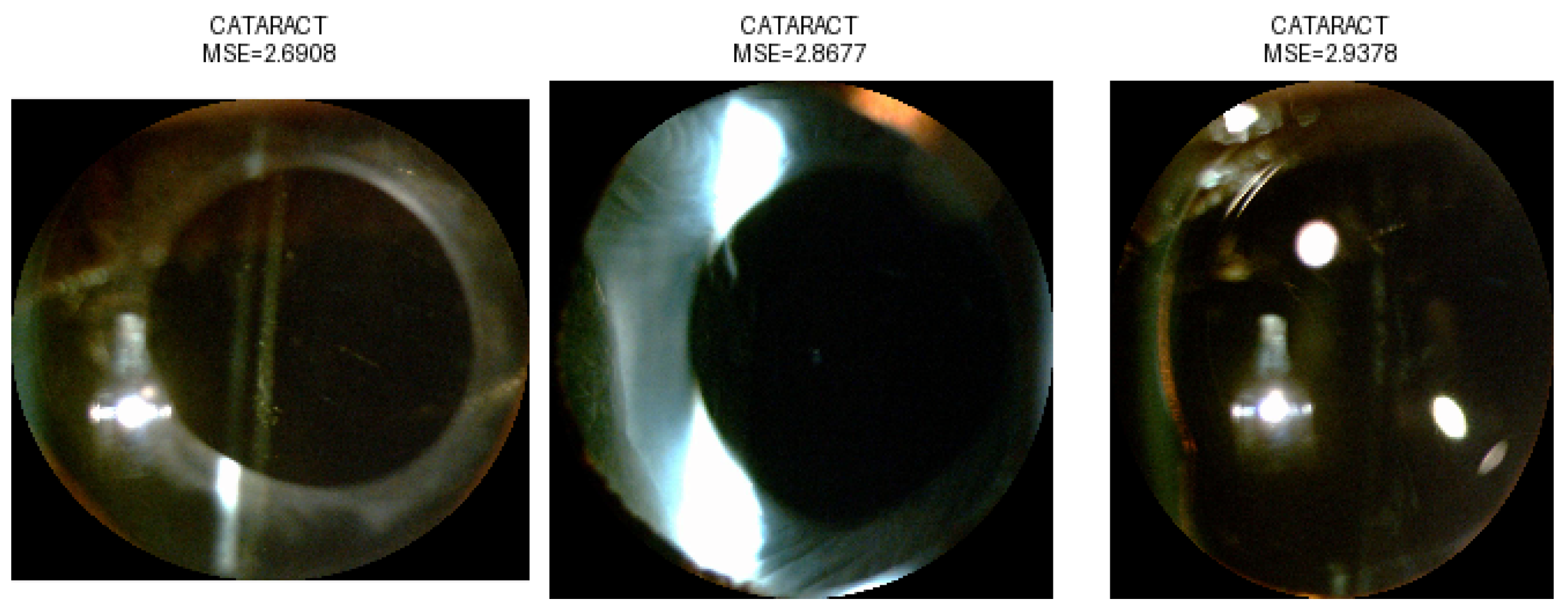 Sensors 25 03954 g006