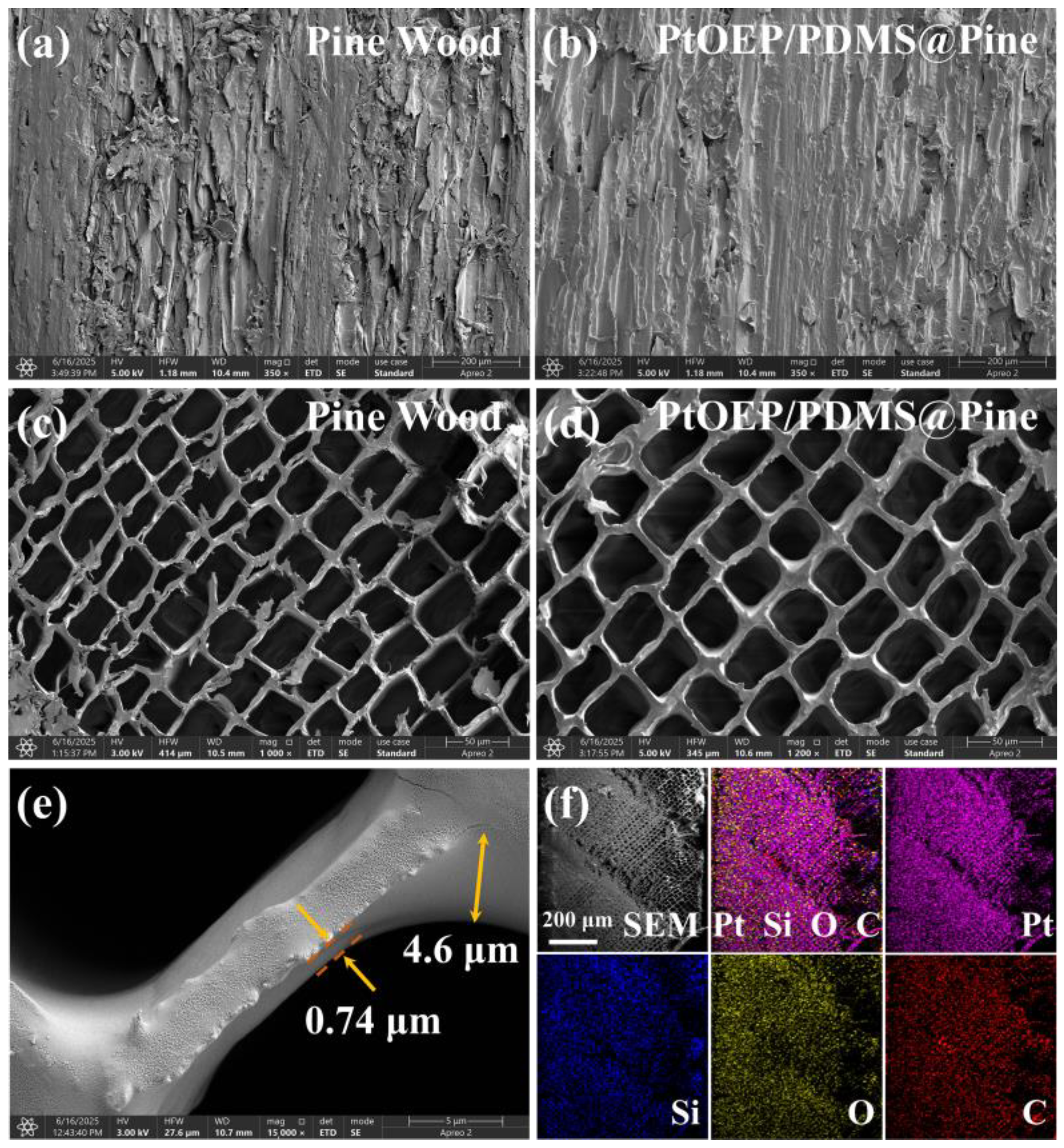 Sensors 25 03967 g001