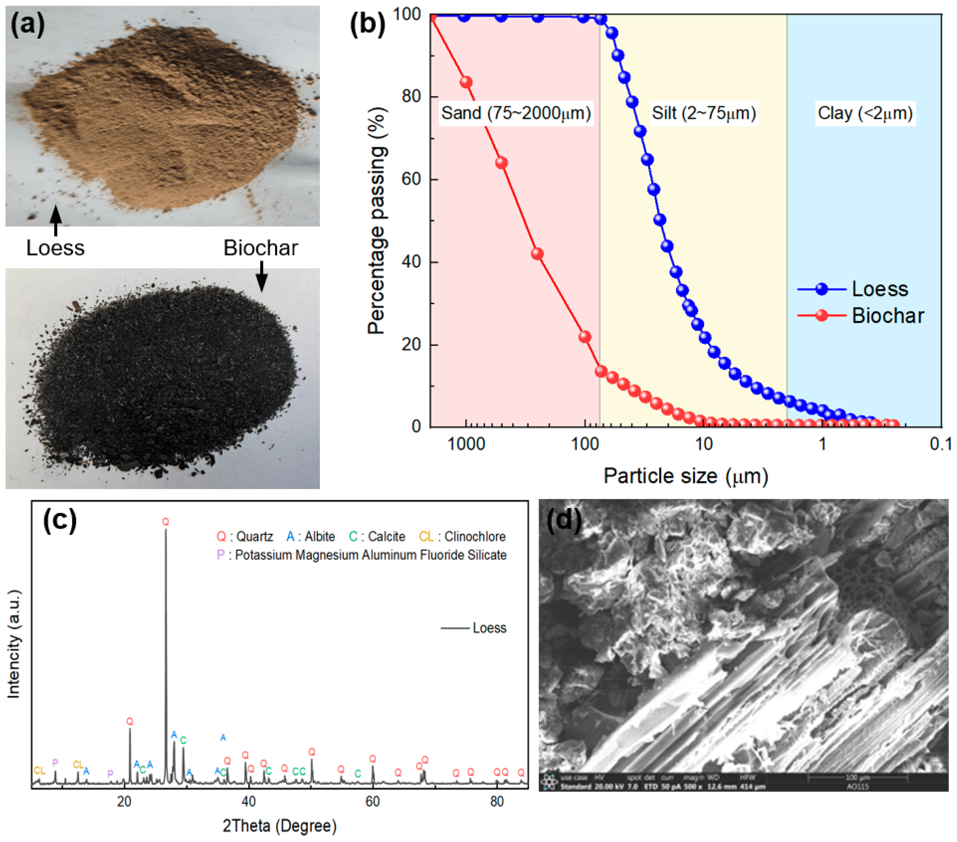 Sensors 25 03970 g001