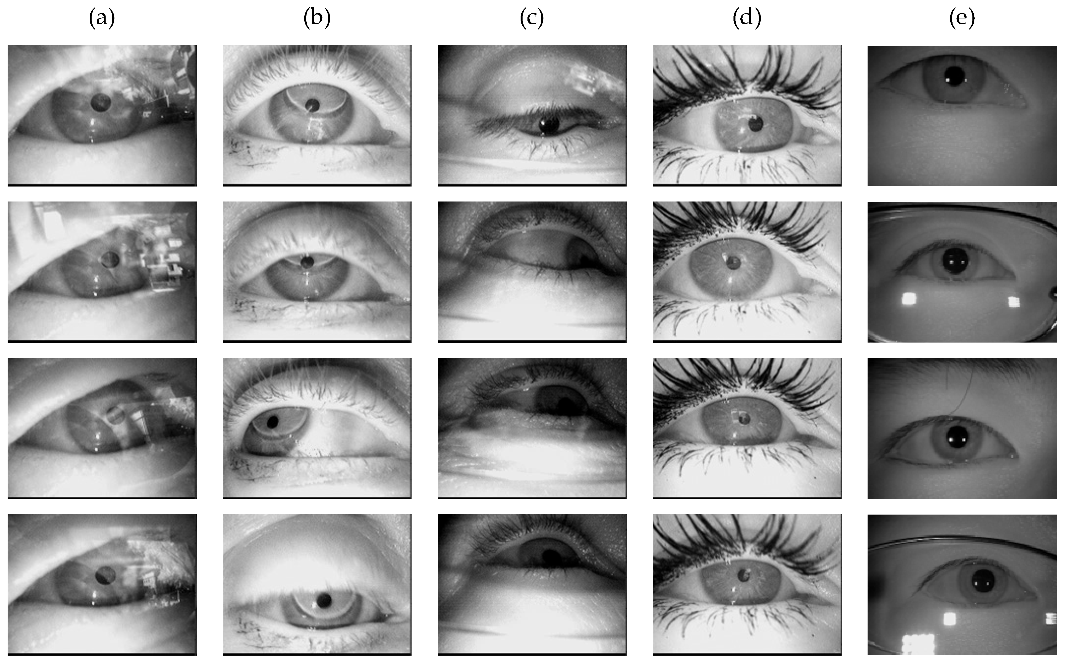 Sensors 25 03978 g007