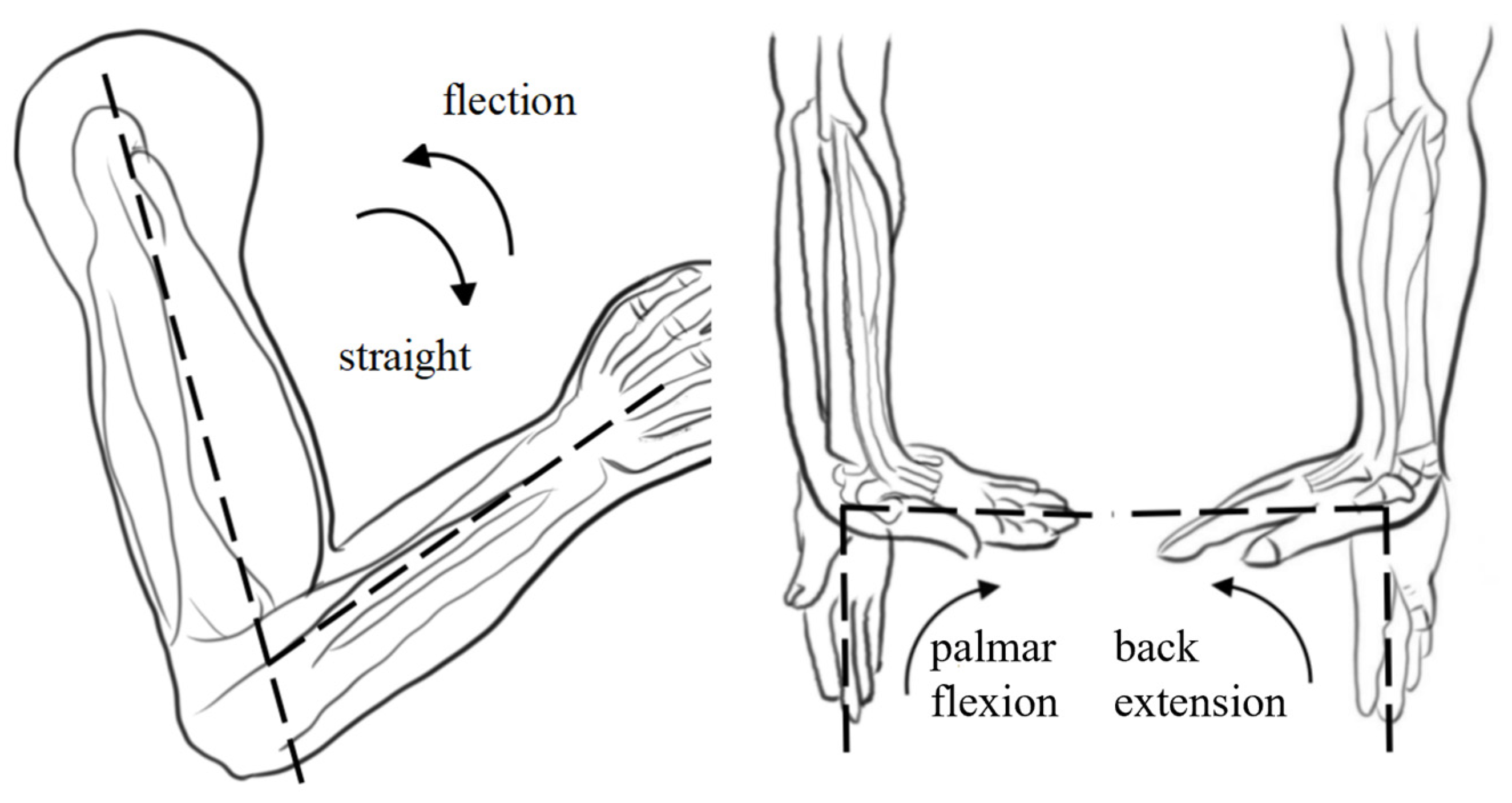 Sensors 25 03984 g001