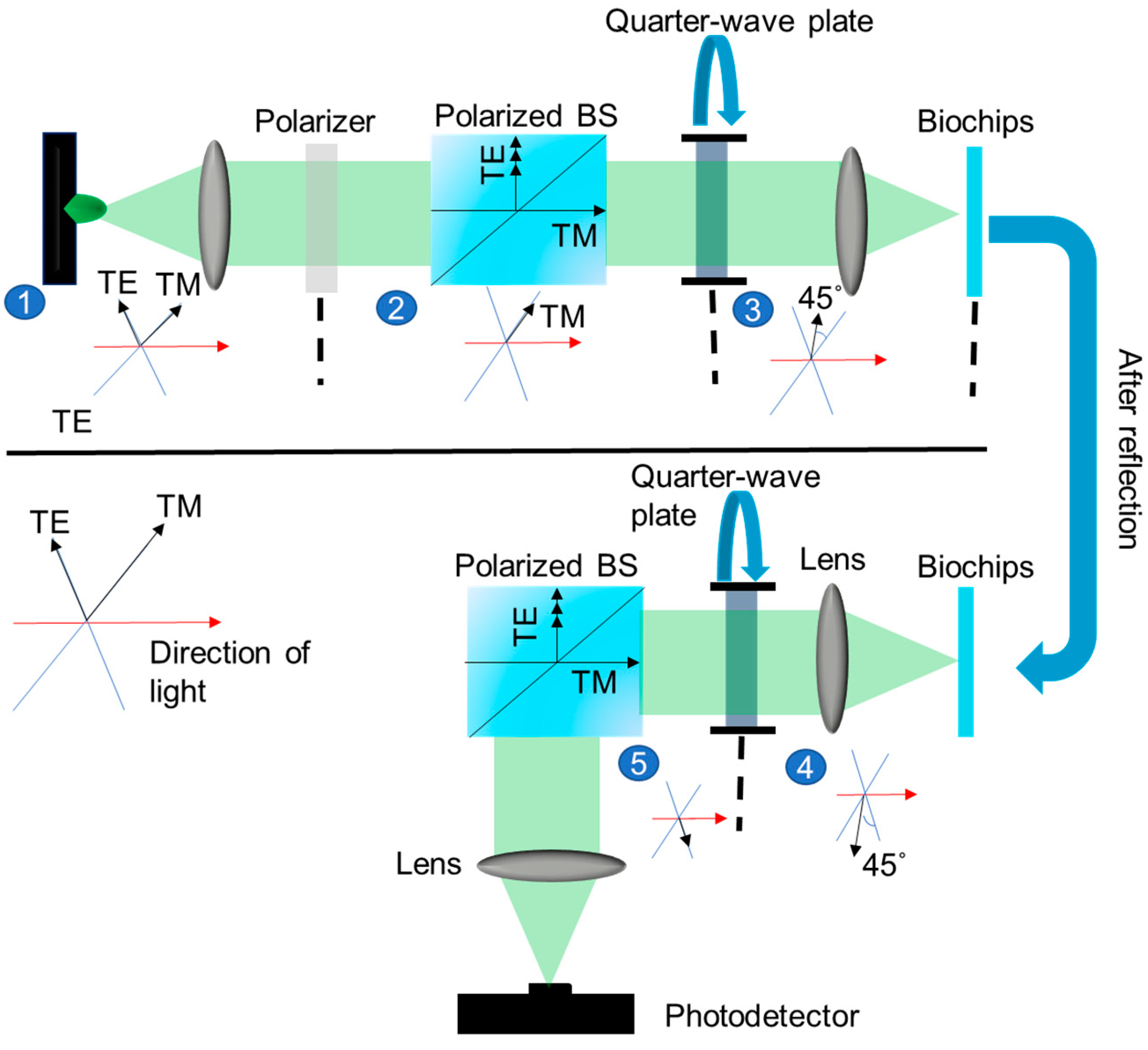 Sensors 25 04019 g004 Sensors 25 04019 g004