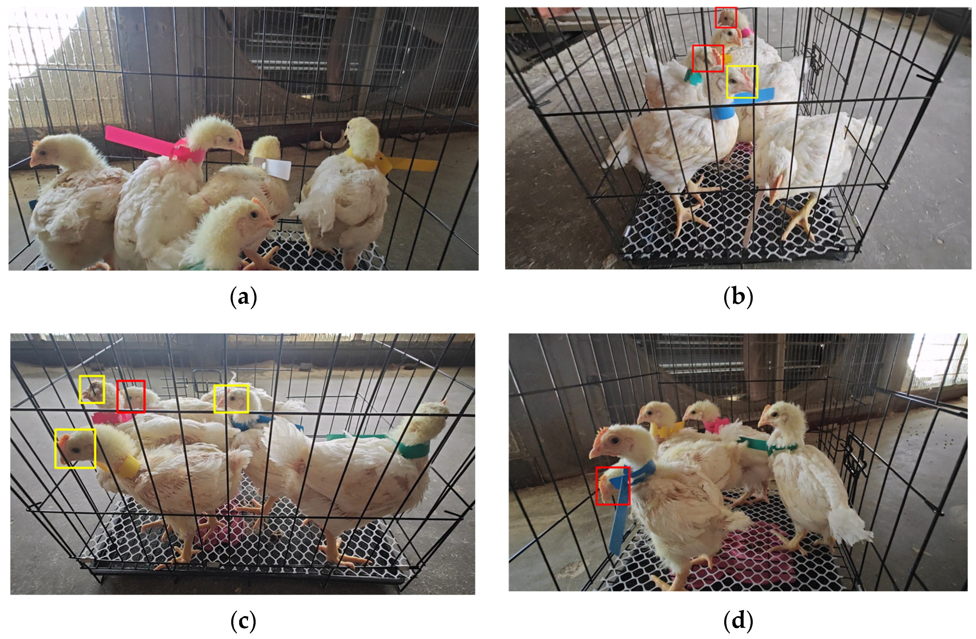 Sensors 25 04051 g001