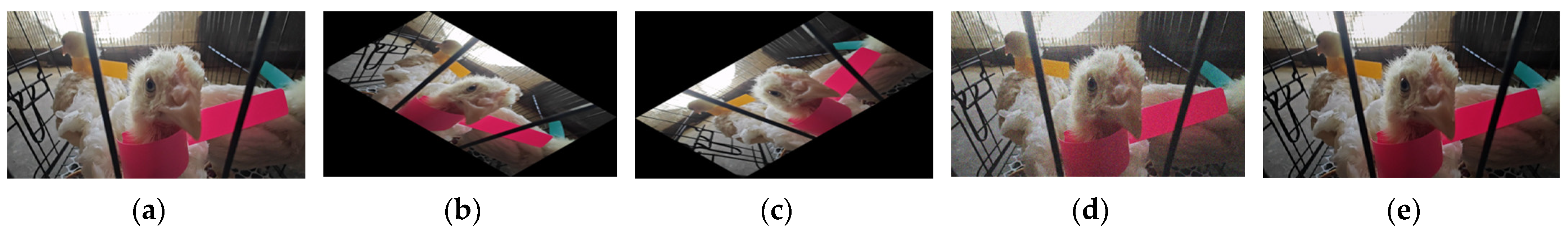 Sensors 25 04051 g002