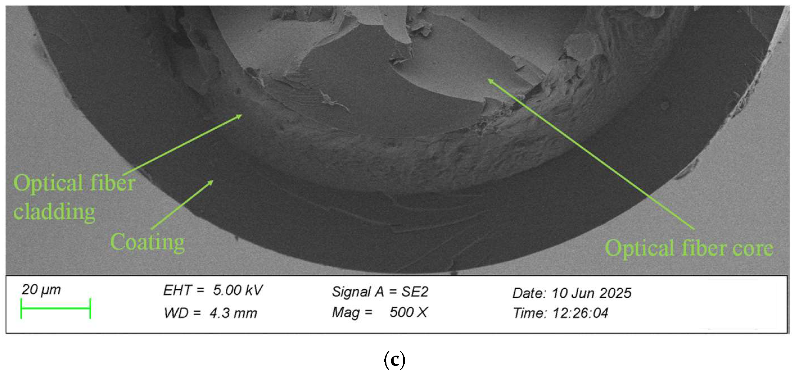Sensors 25 04060 g004b