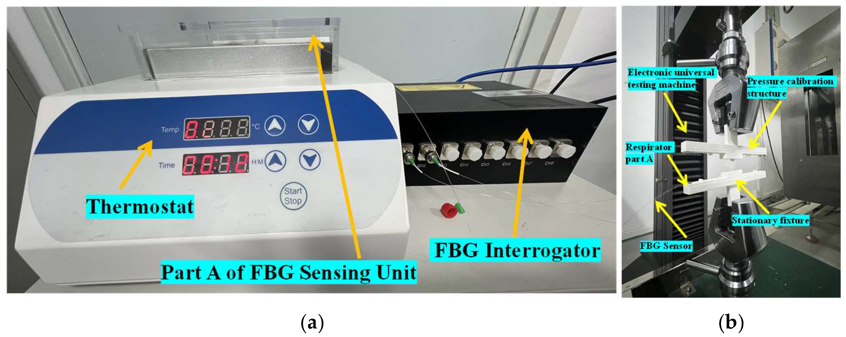 Sensors 25 04060 g005
