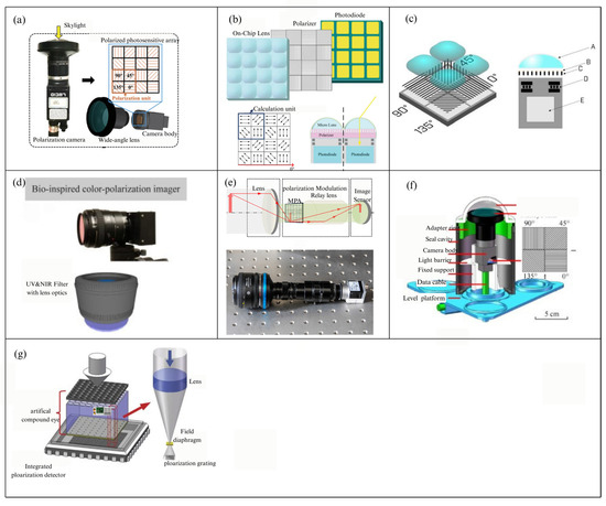 The Structural Types of the Polarization Detection Unit in