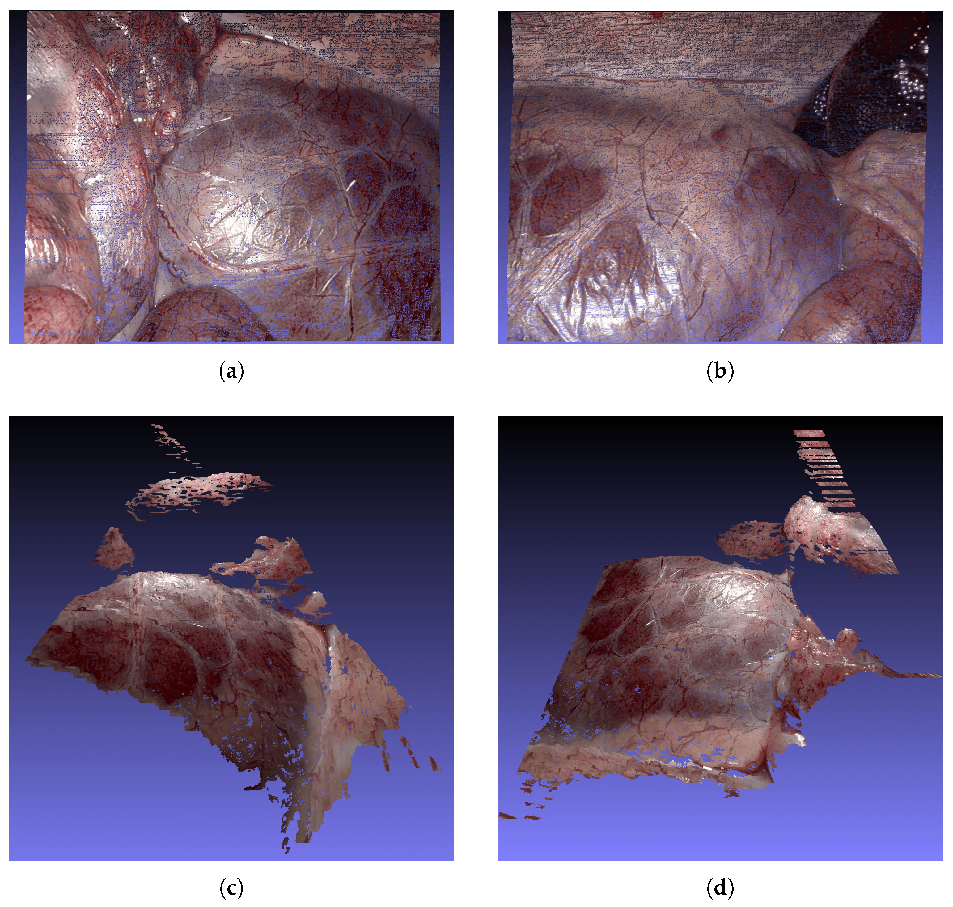 Sensors 25 04124 g009