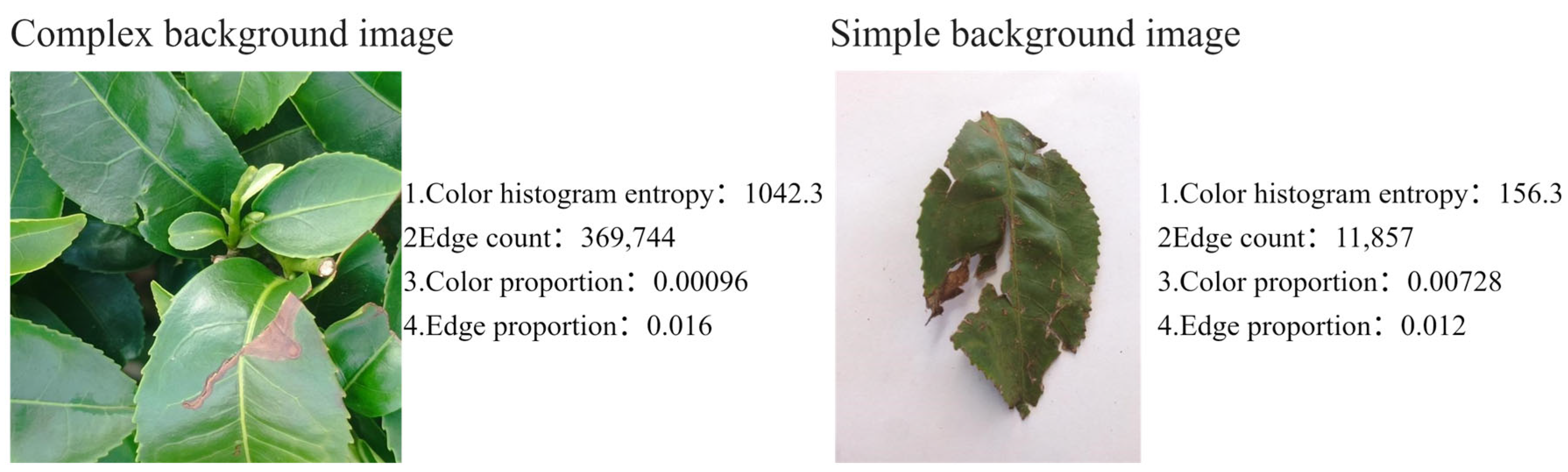 Sensors 25 04129 g007