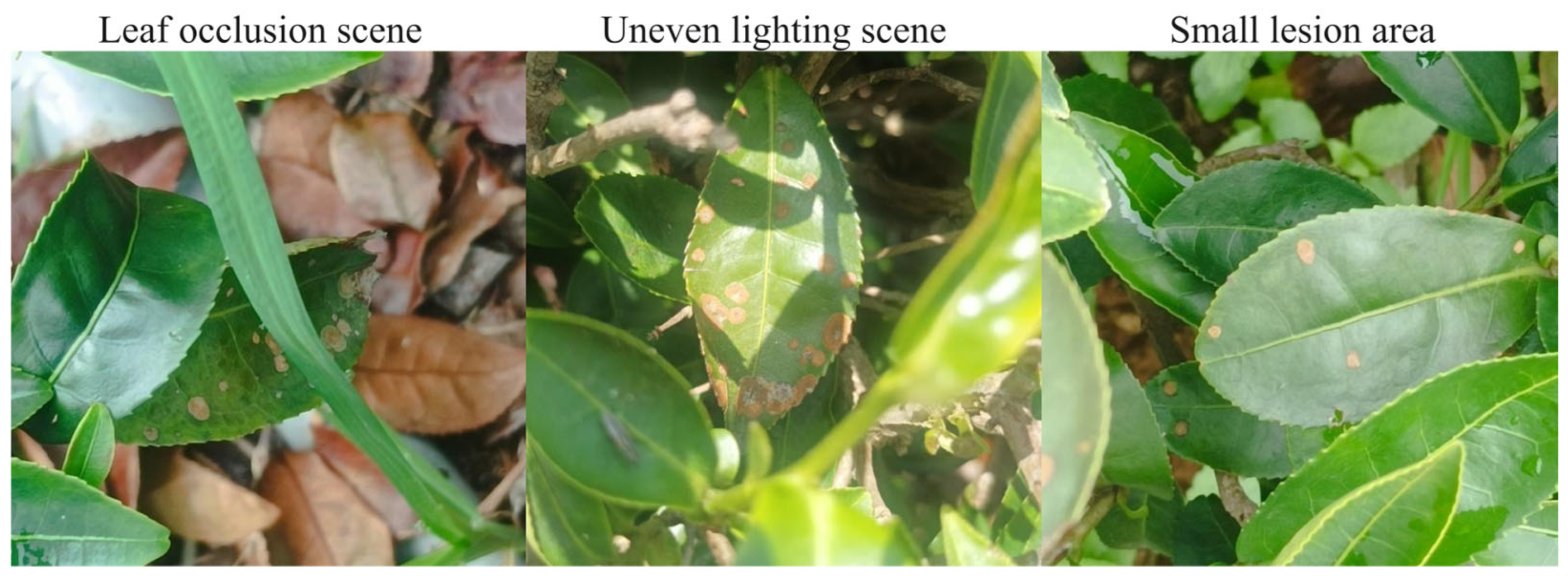 Sensors 25 04129 g009