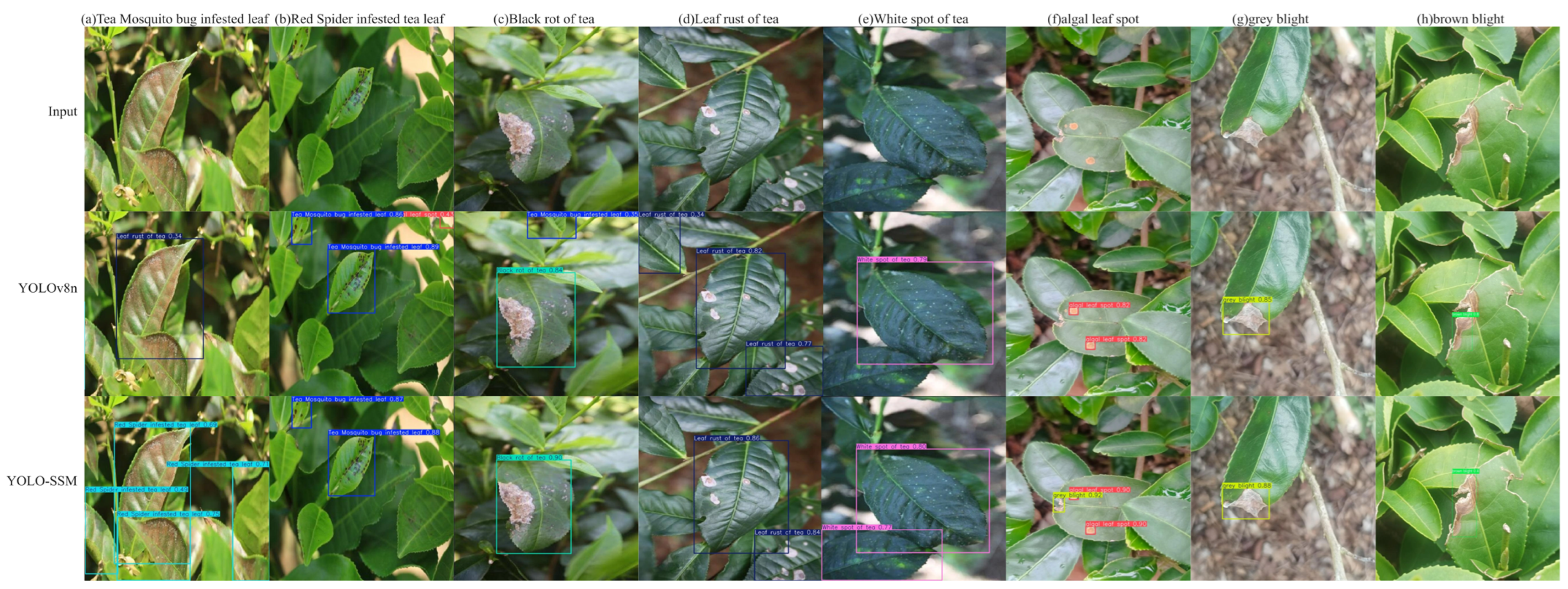 Sensors 25 04129 g012