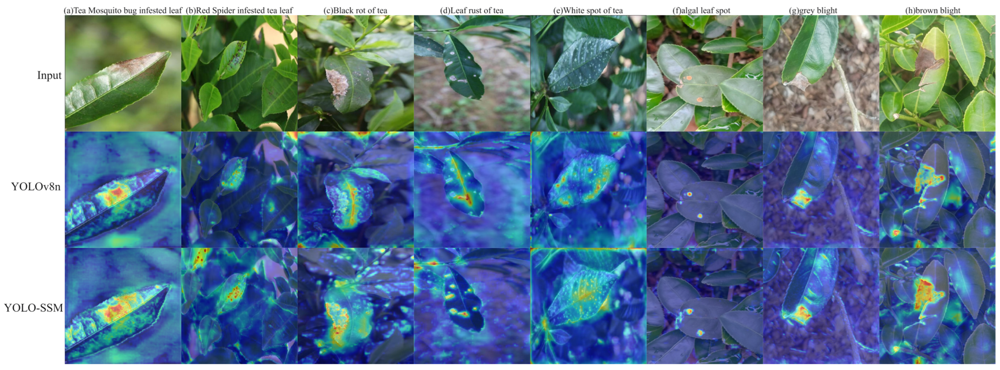 Sensors 25 04129 g014