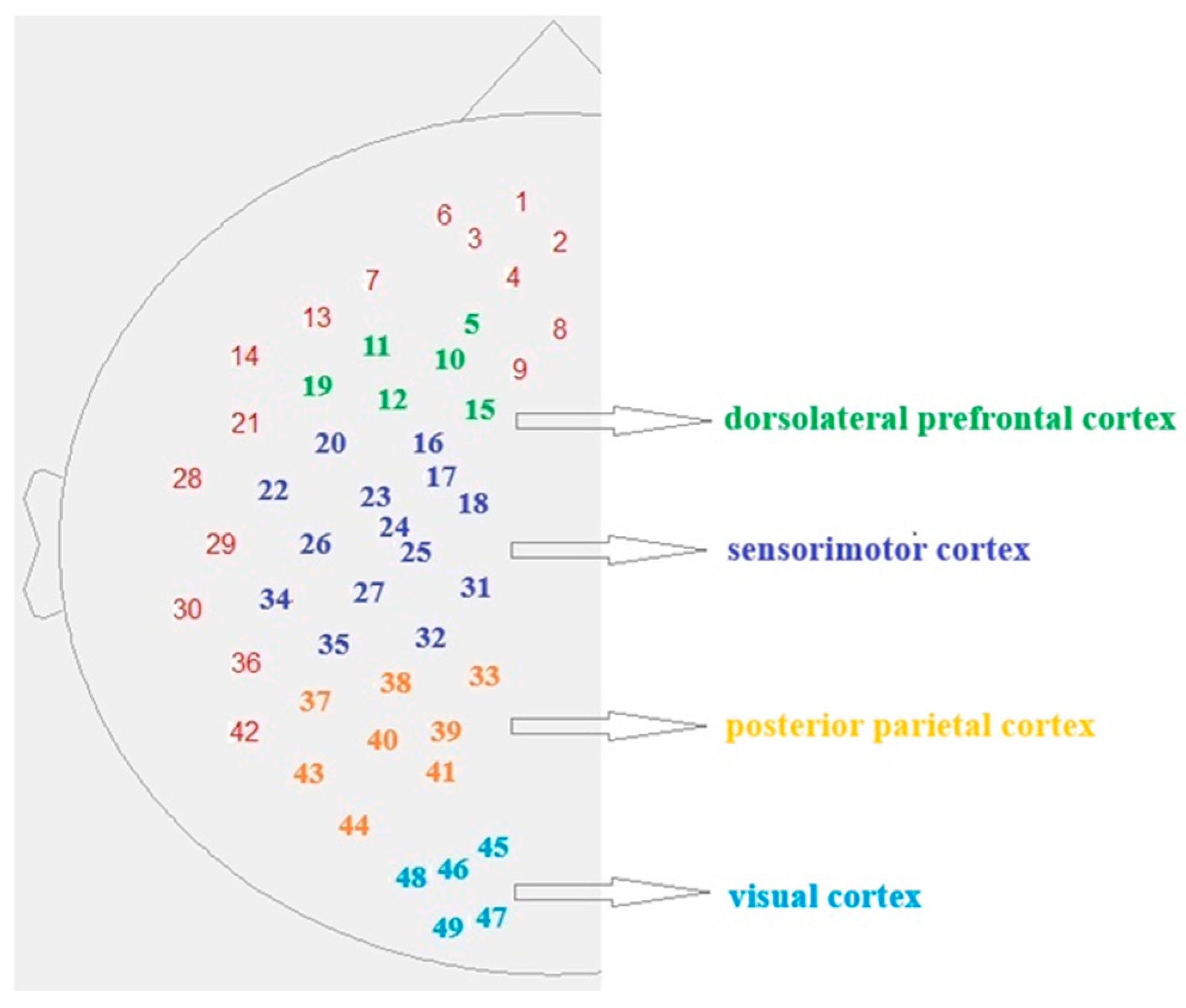 Sensors 25 04135 g001