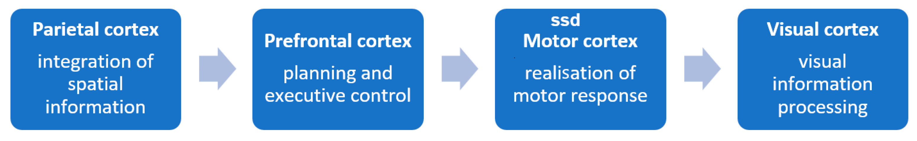 Sensors 25 04135 g005