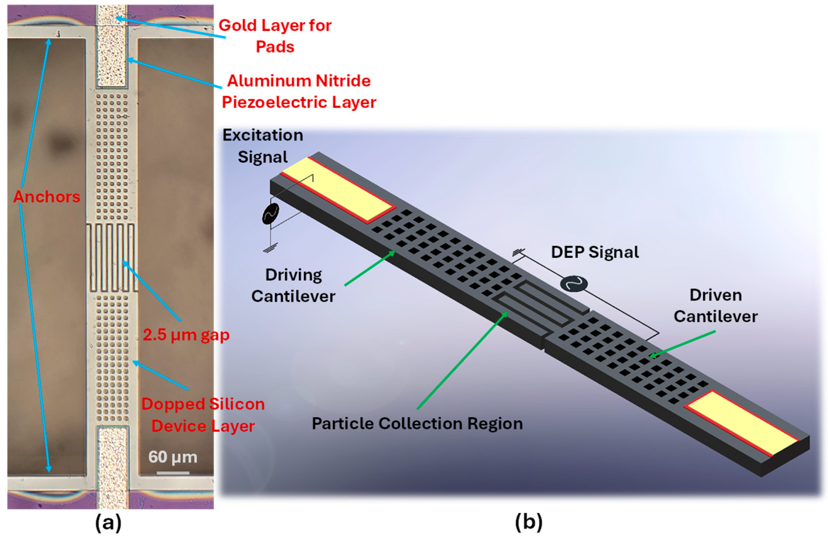 Sensors 25 04145 g002