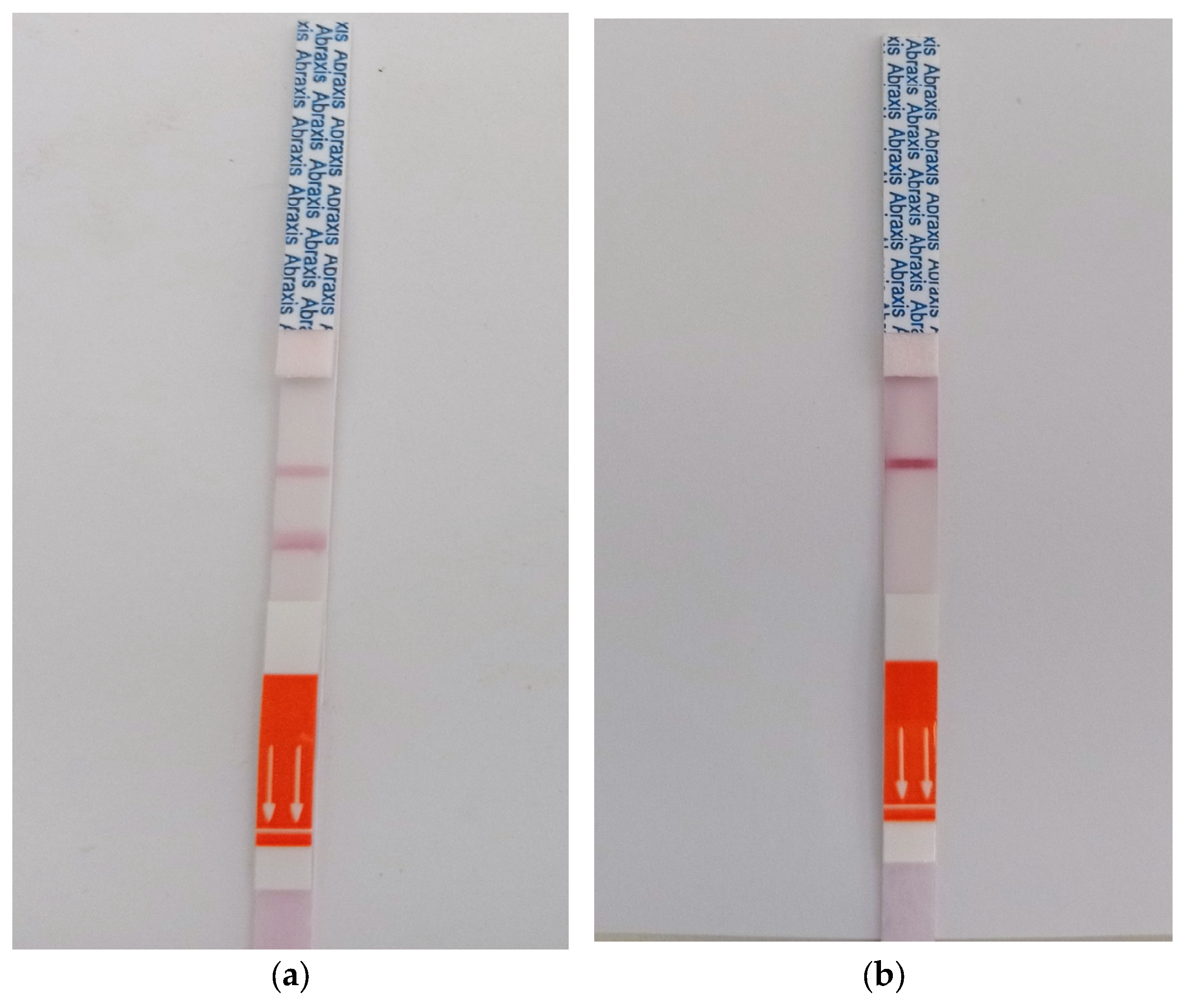 Sensors 25 04149 g004