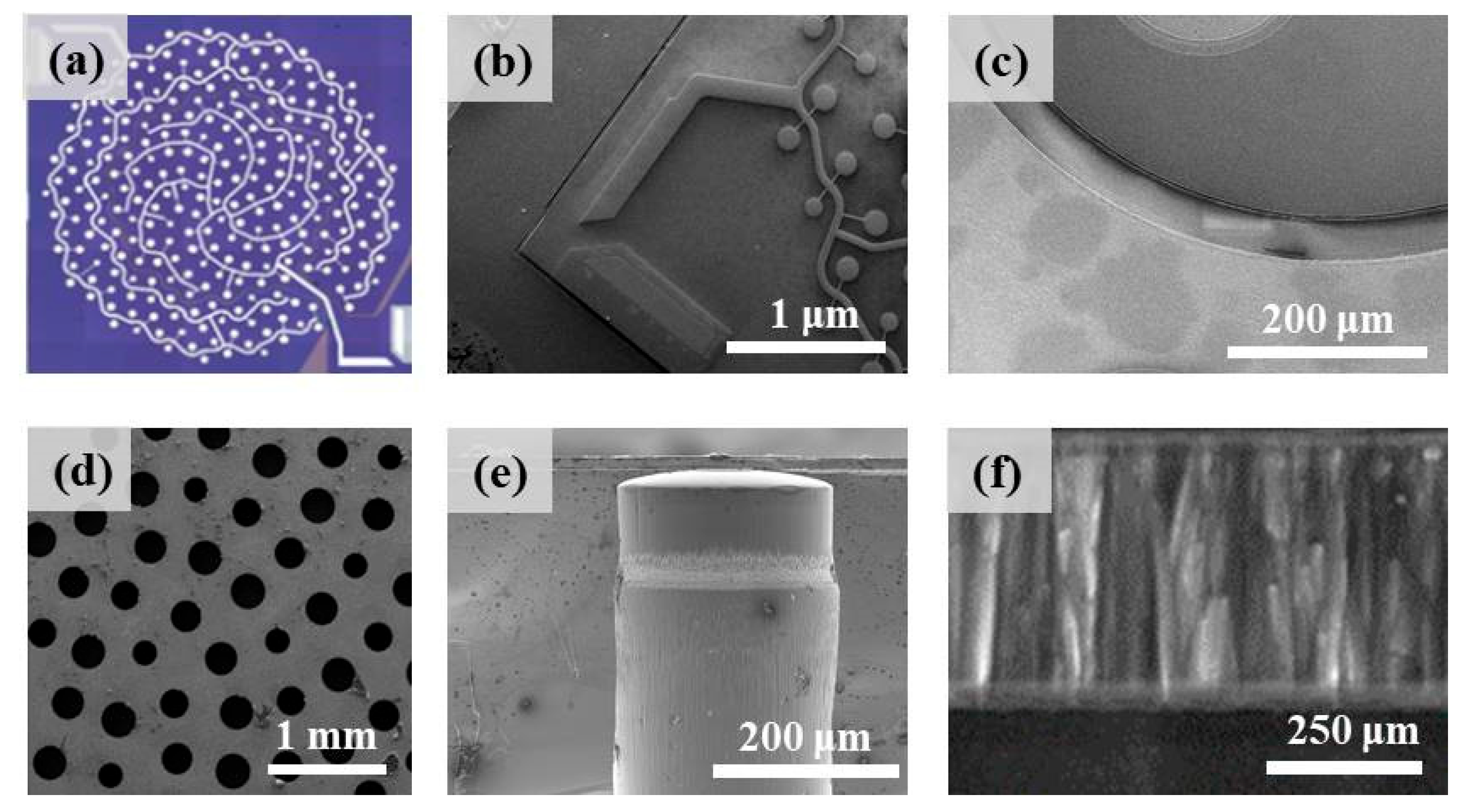 Sensors 25 04182 g005