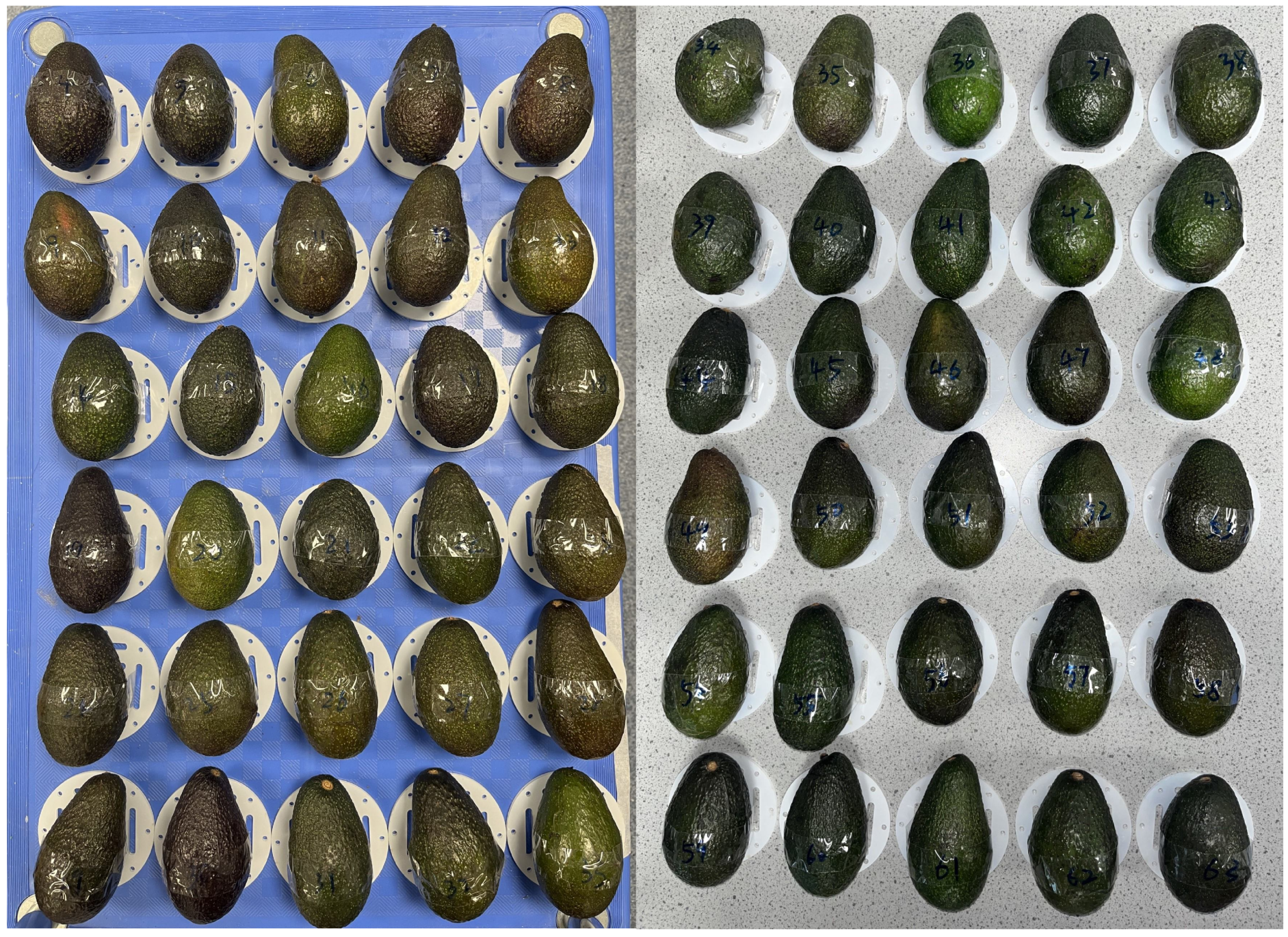 Sensors 25 04195 g003