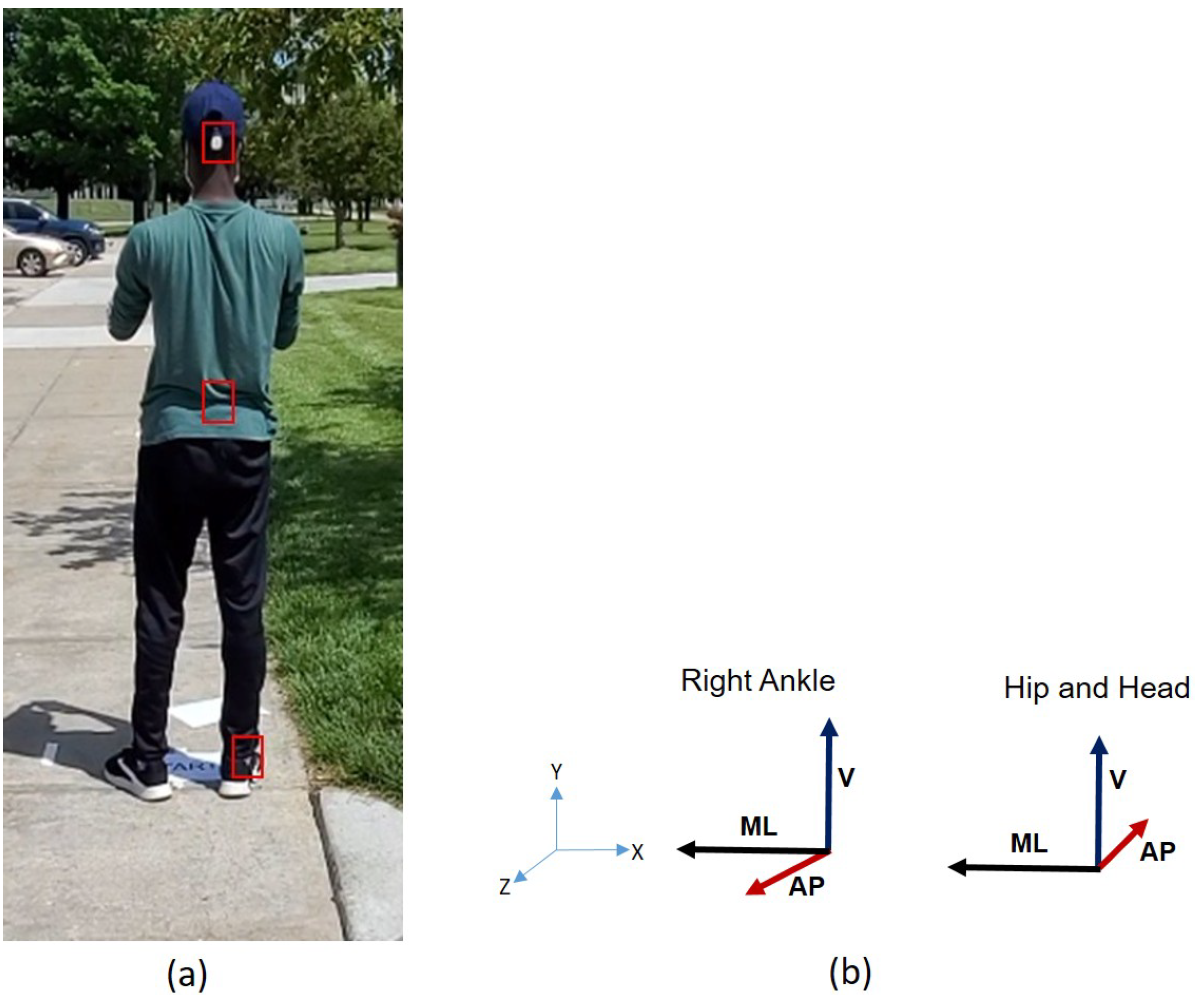 Sensors 25 04228 g002