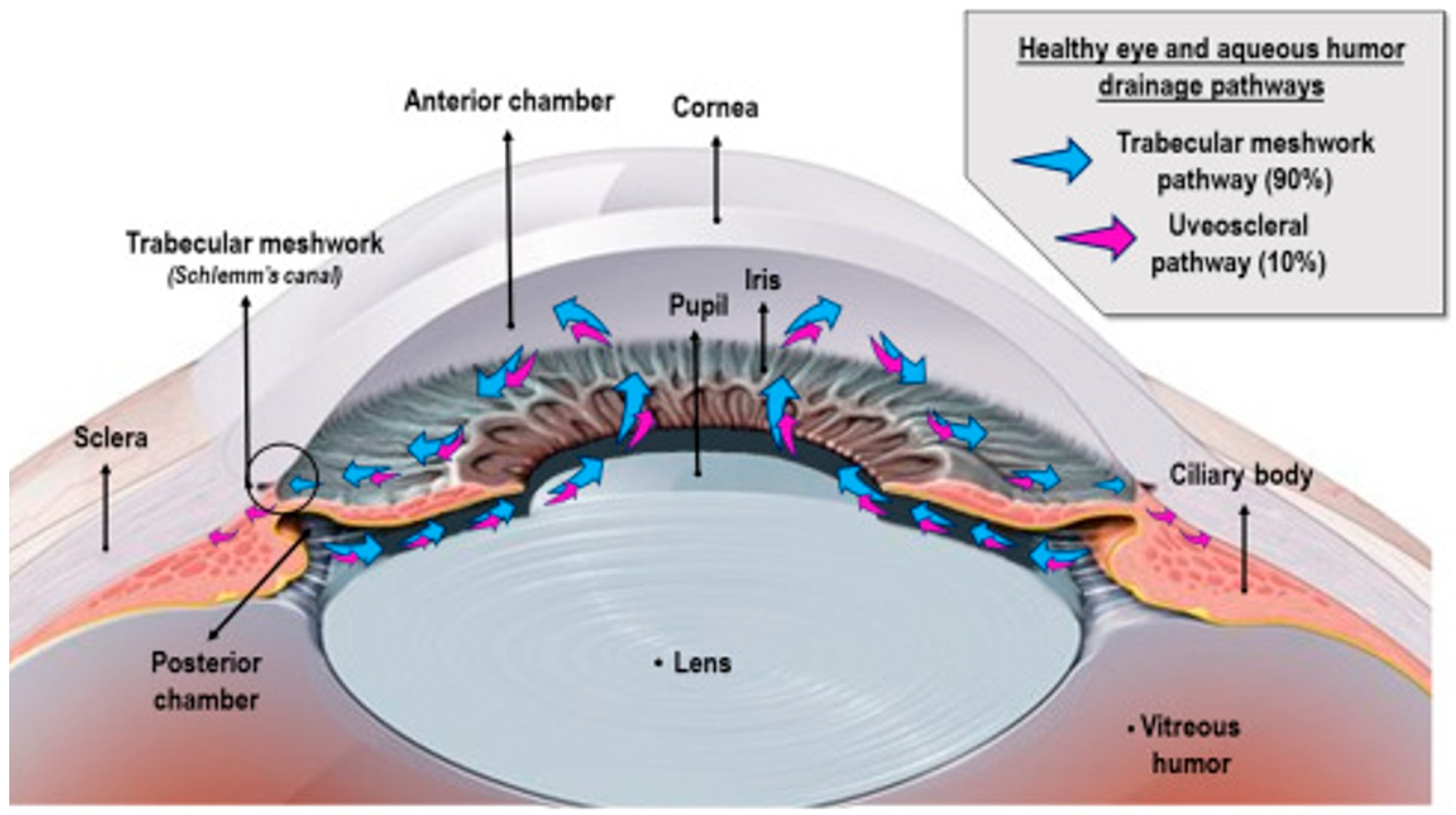 Sensors 25 04236 g001