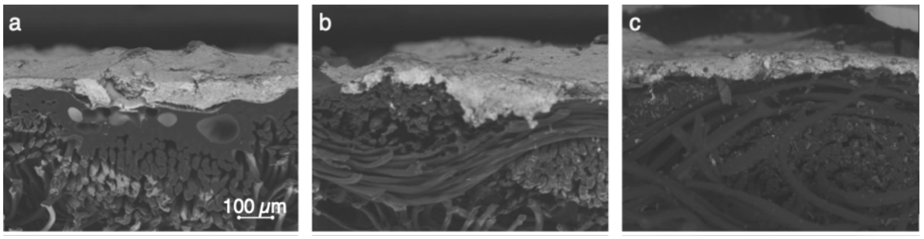 Sensors 25 04240 g0a3