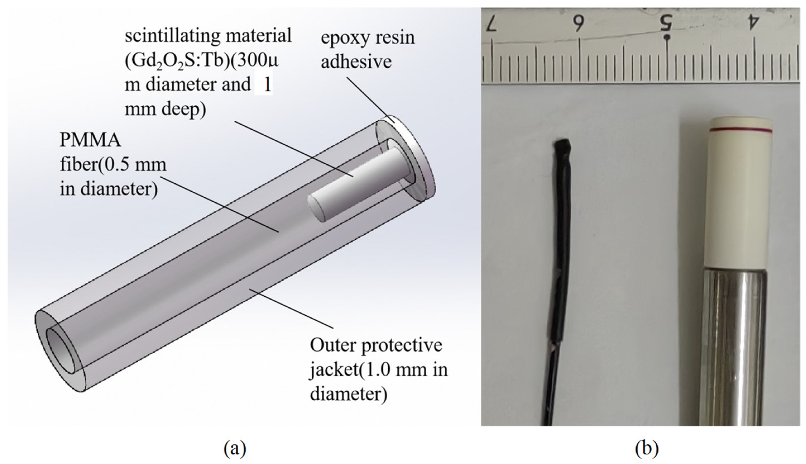 Sensors 25 04243 g001