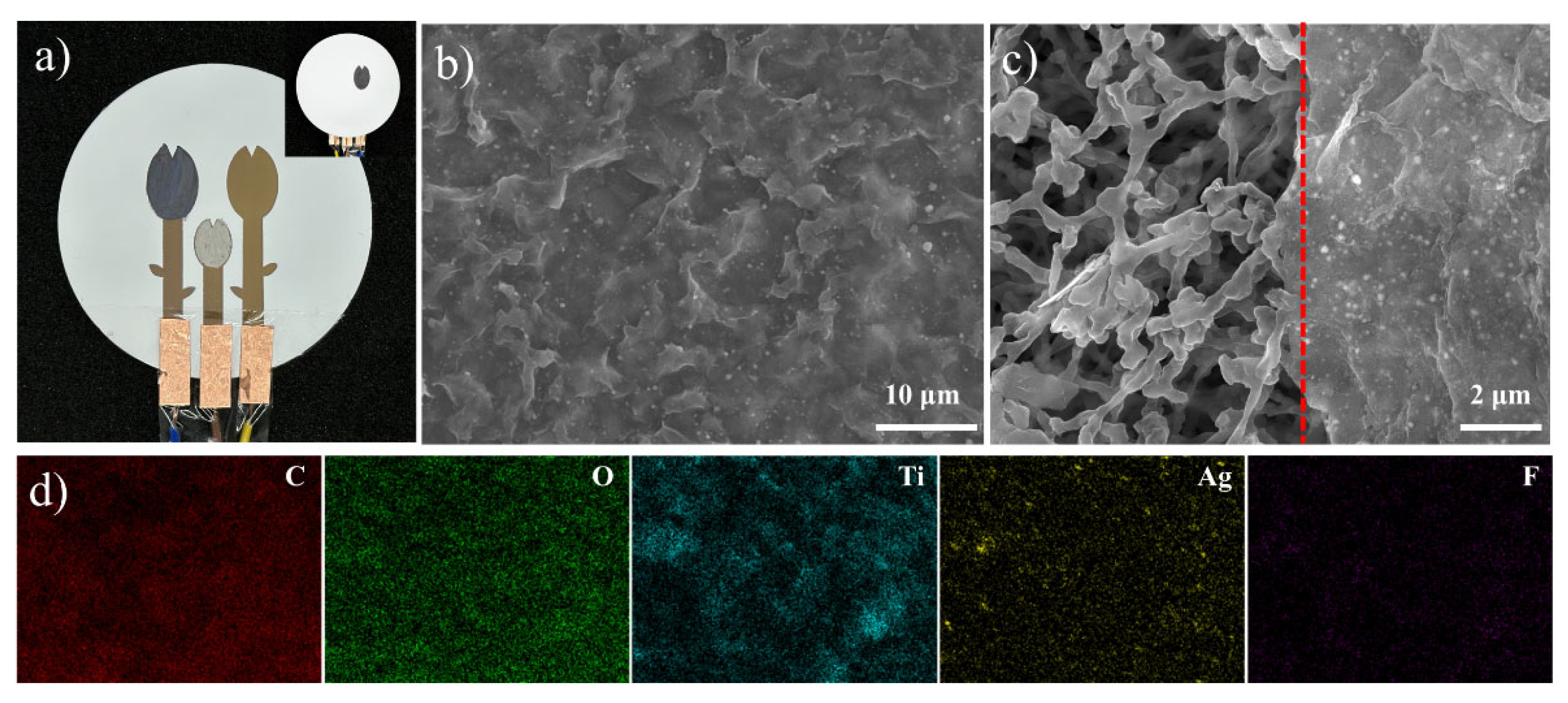 Sensors 25 04273 g002a